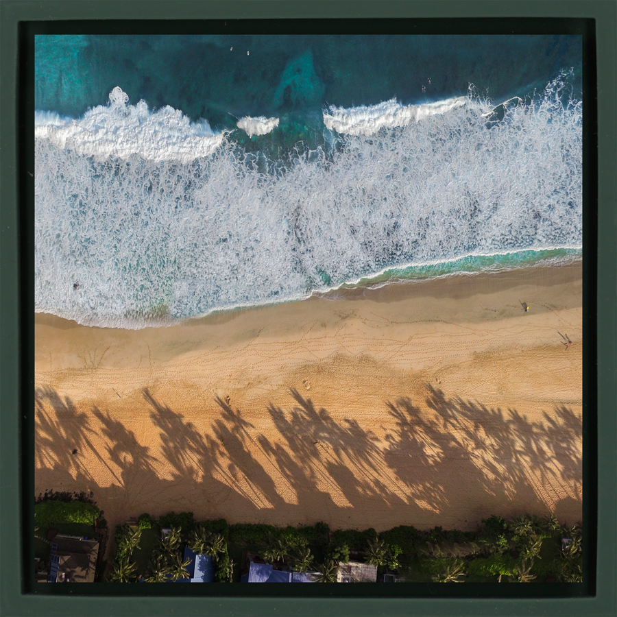 Pipe Line Palms - Dark Green Wrapp