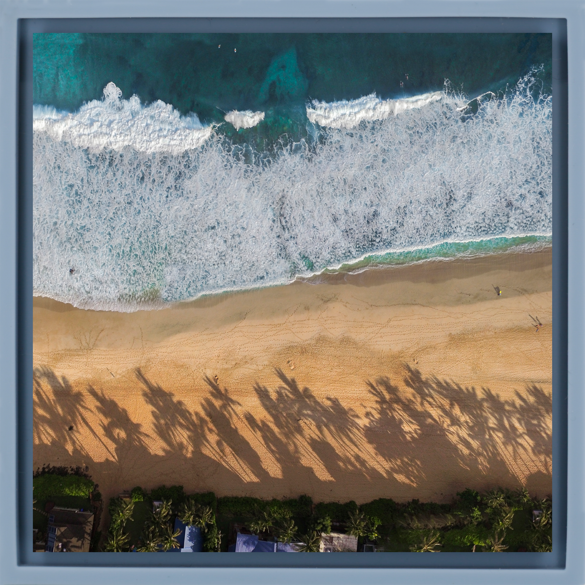 Pipe Line Palms- Light Blue Wrapp