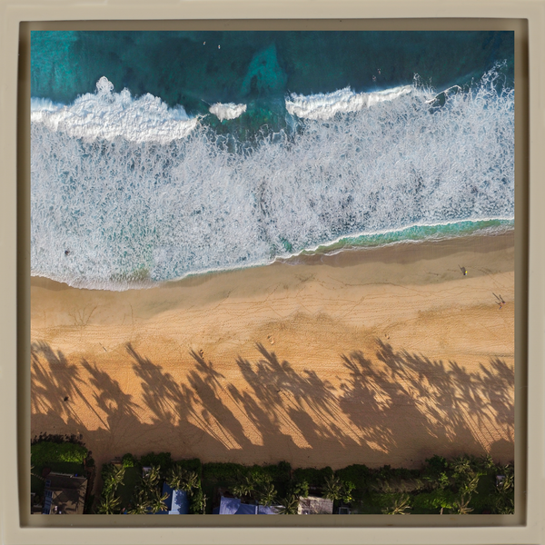 Pipe Line Palms - Sand Wrapp