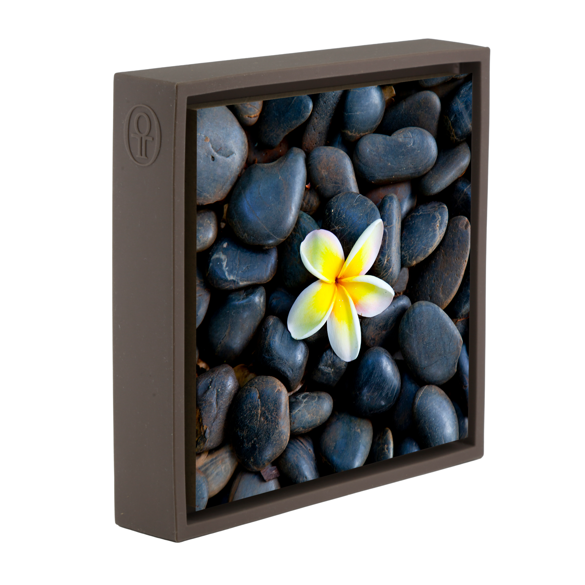 Plumeria Pebbles- Brown Wrapp