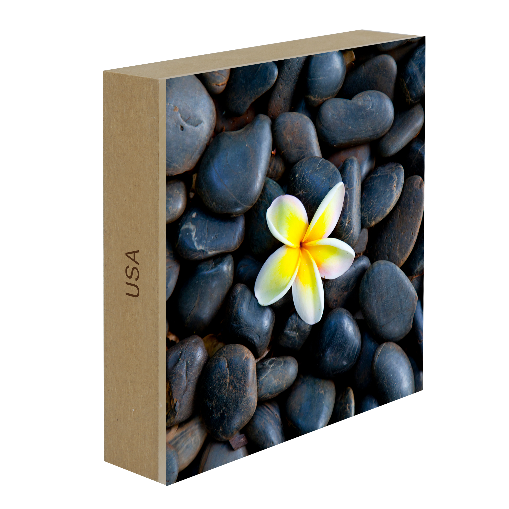 Plumeria Pebbles- Collection: USA