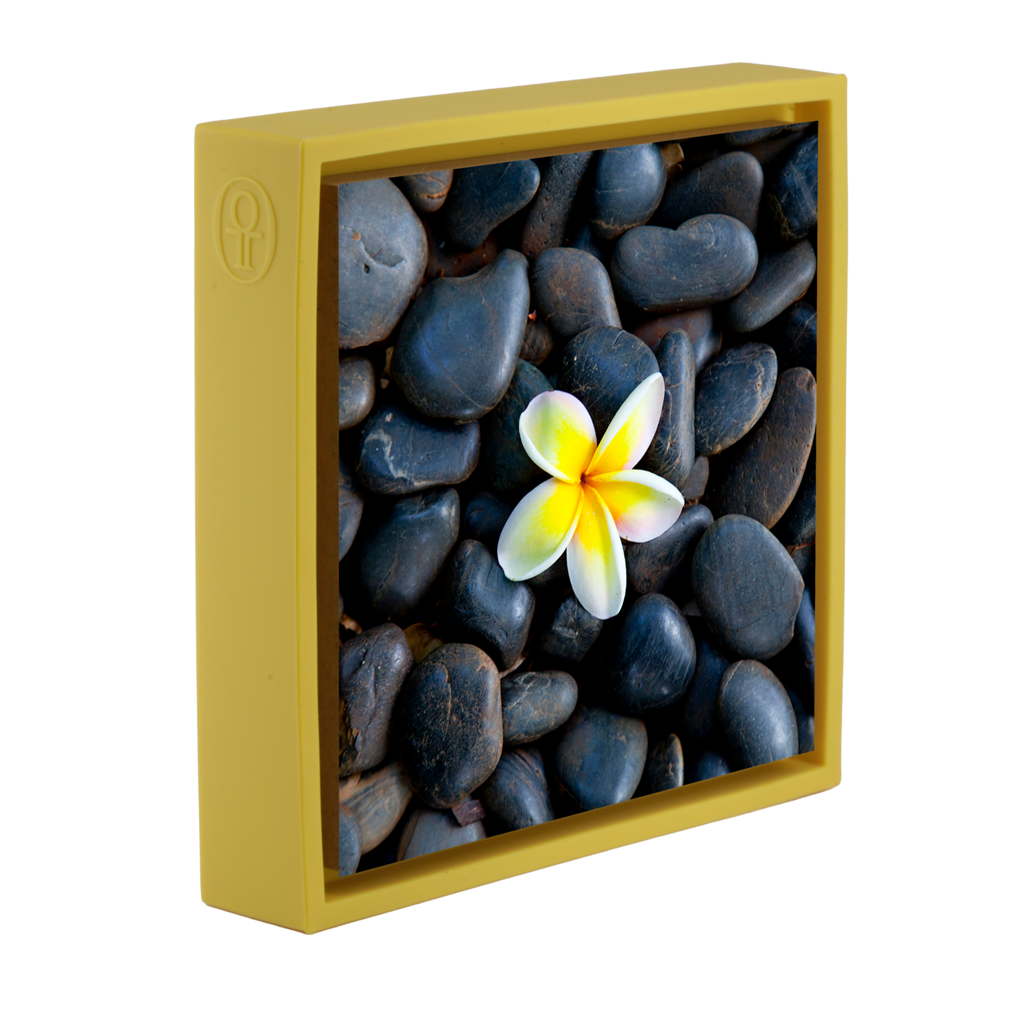 Plumeria Pebbles- Yellow Wrapp