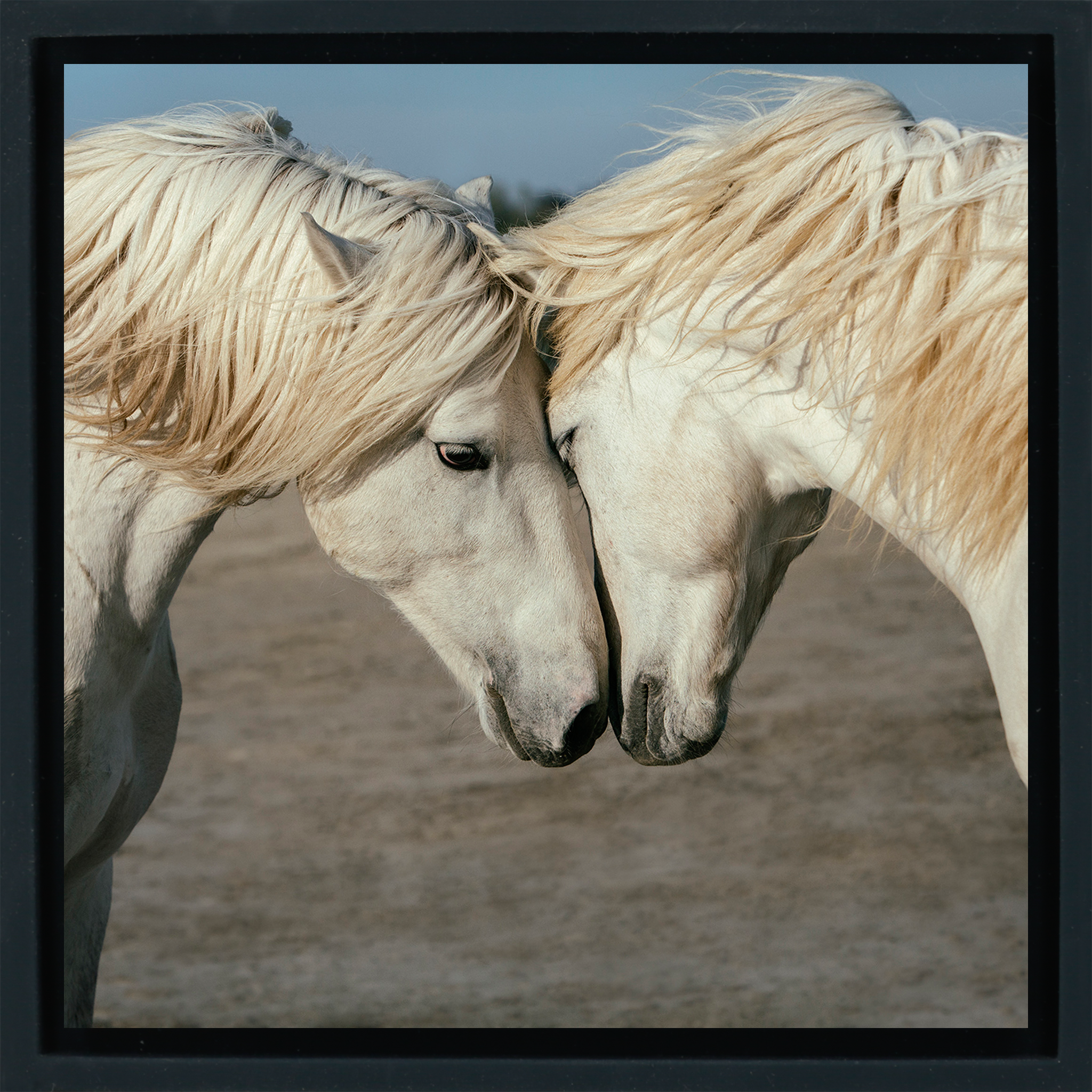 Horse Love - Zwarte Wrapp