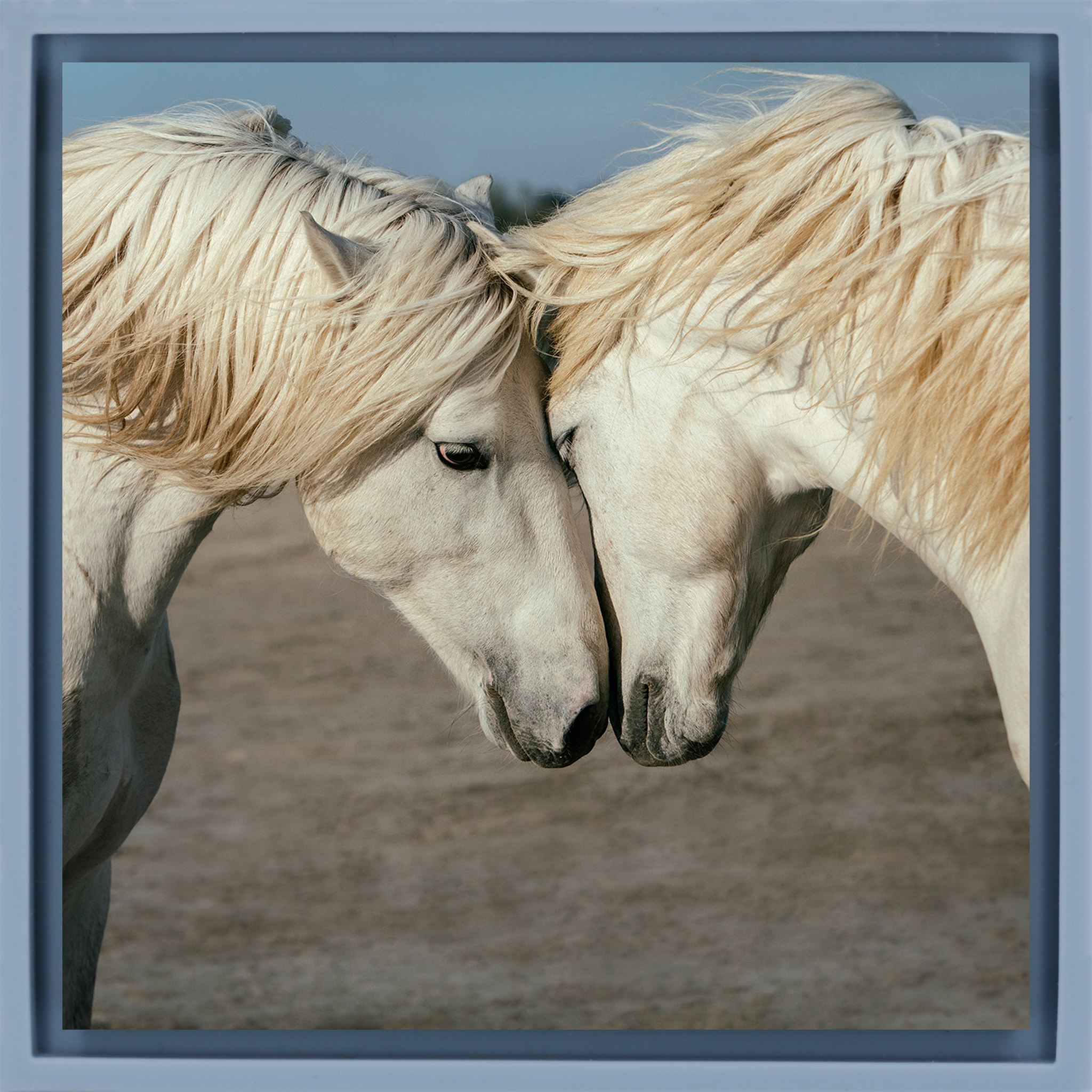 Horse Love - Lichtblauwe Wrapp
