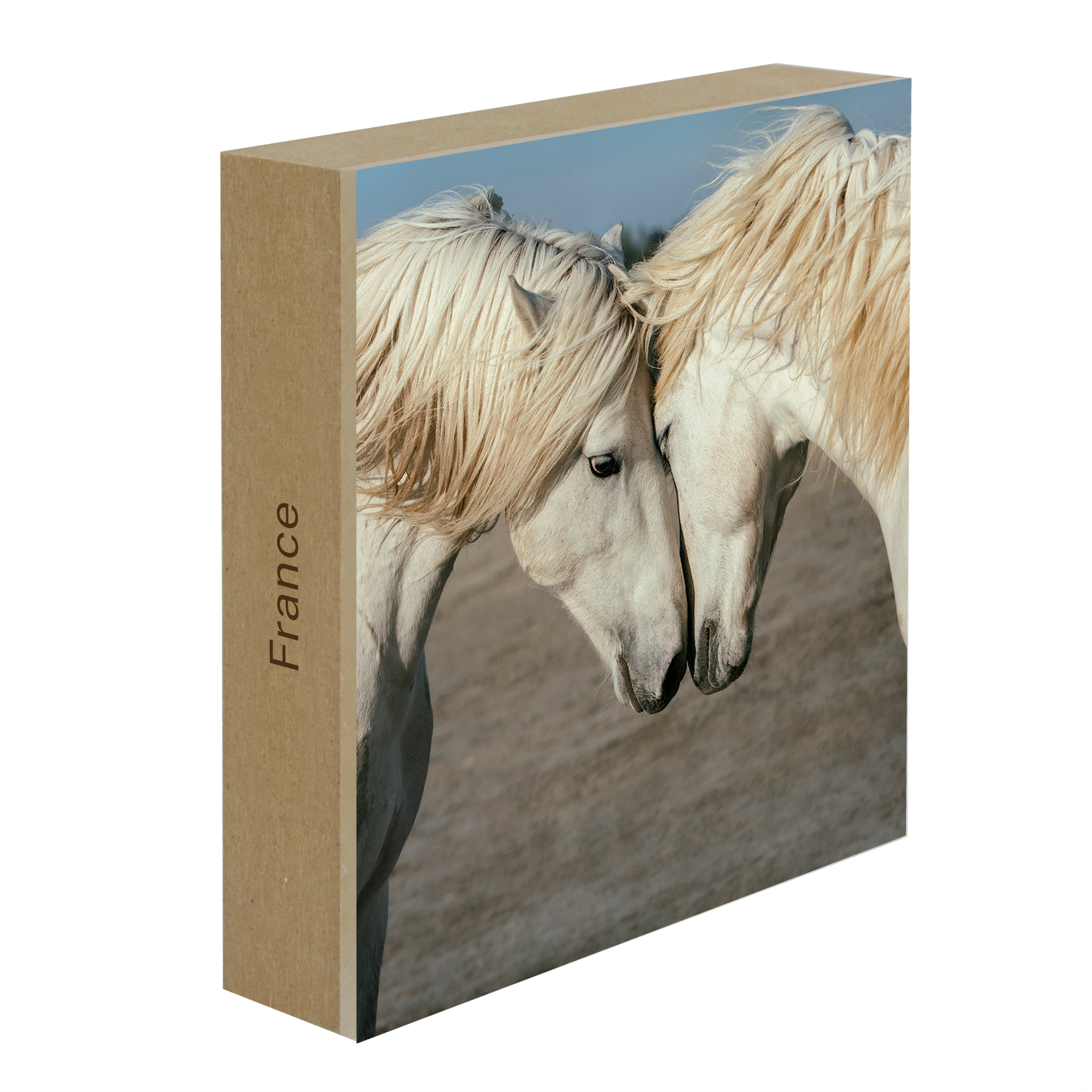 Horse Love- Collection: France