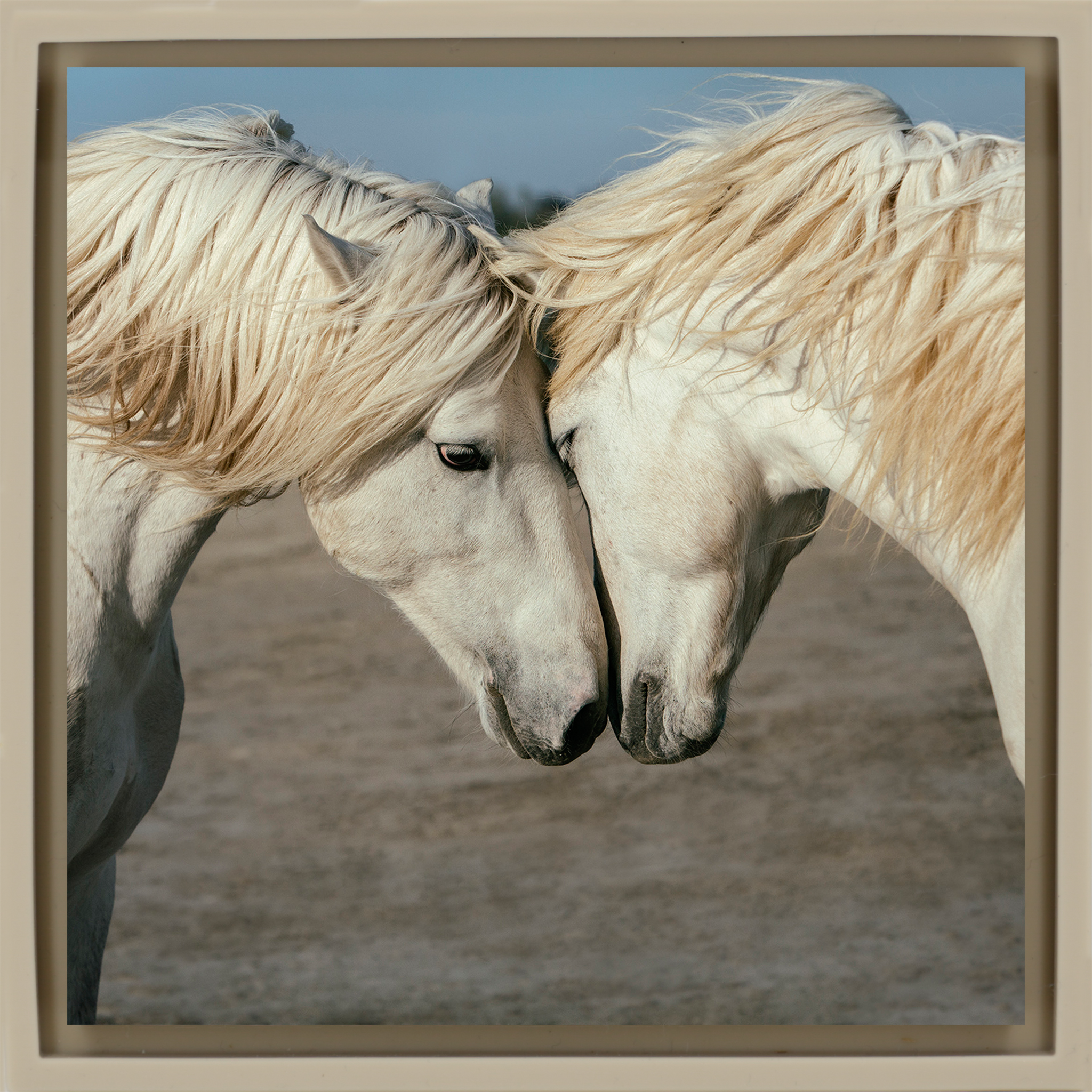Horse Love - Zandkleurige Wrapp