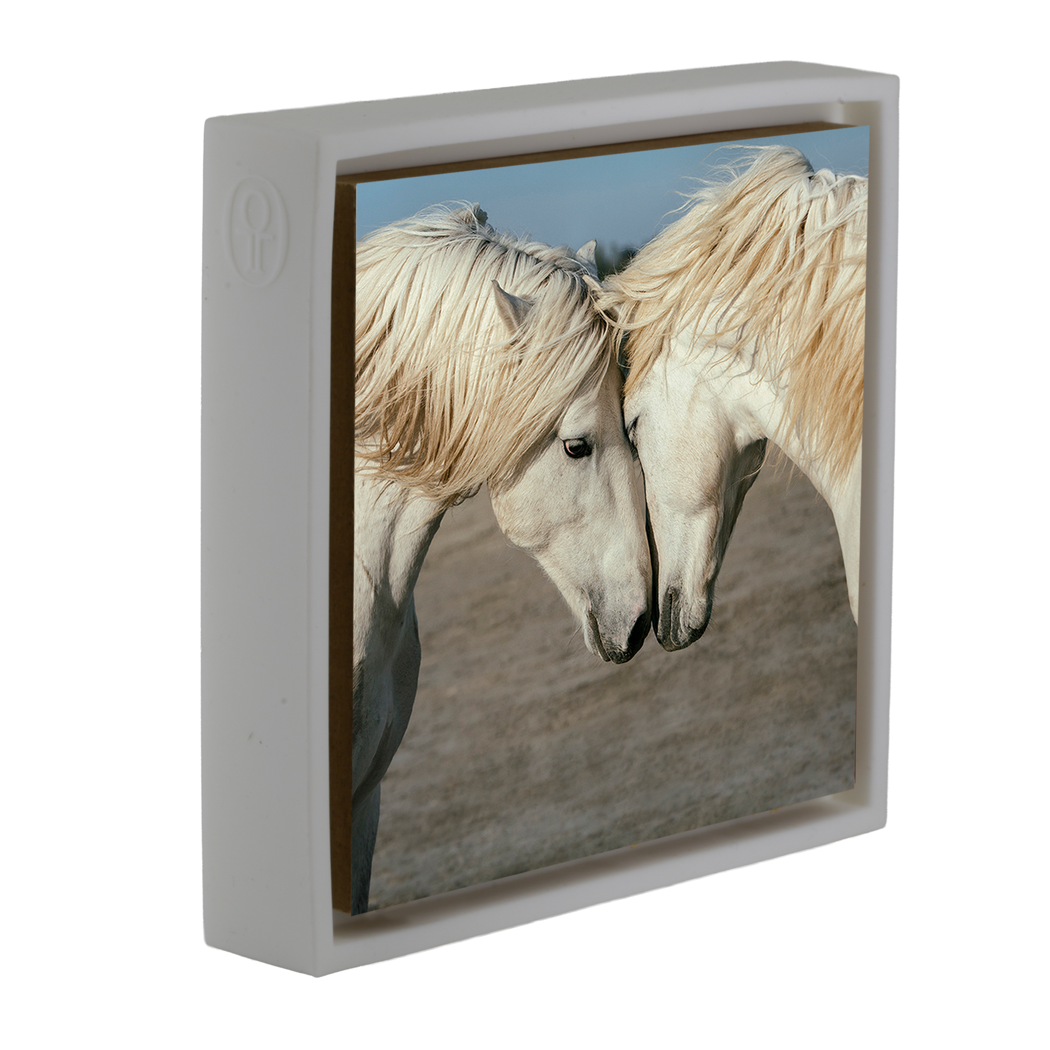 Horse Love - Witte Wrapp