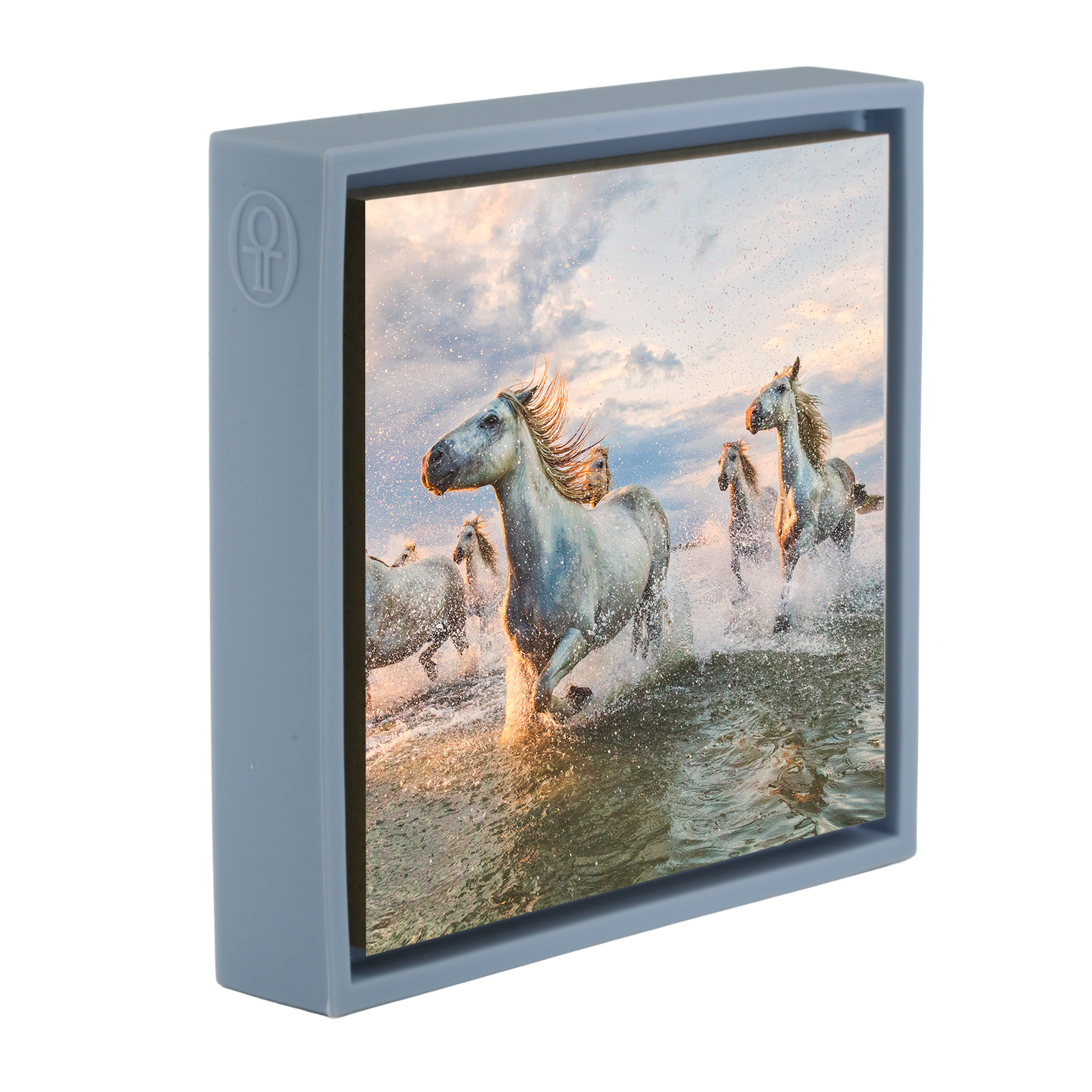 The White Horses of The Camargue France - Lichtblauwe Wrapp