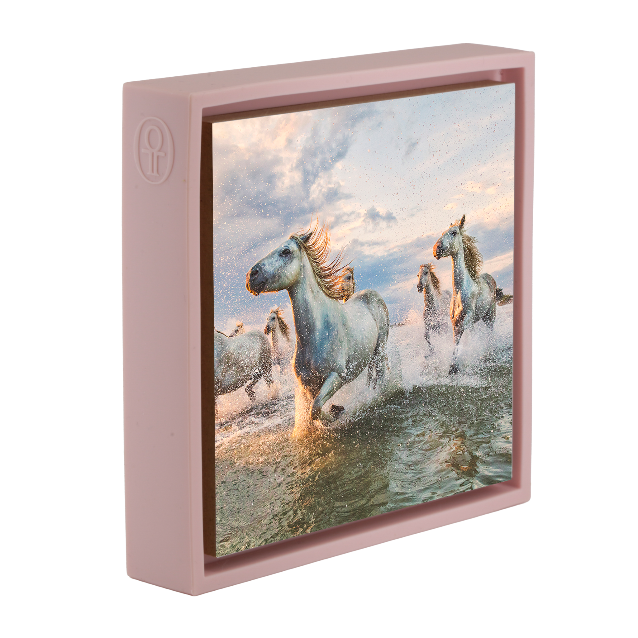 The White Horses of The Camargue France - Roze Wrapp