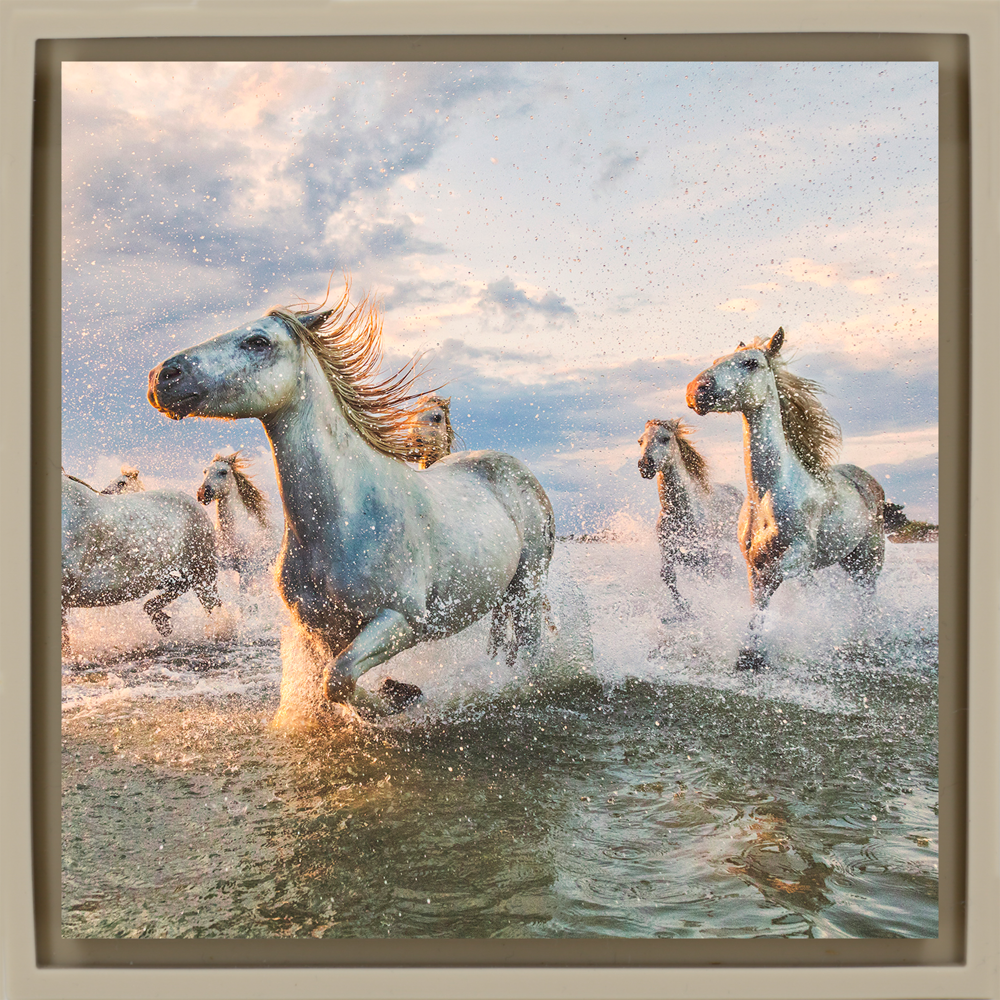 The White Horses of The Camargue France - Zandkleurige Wrapp