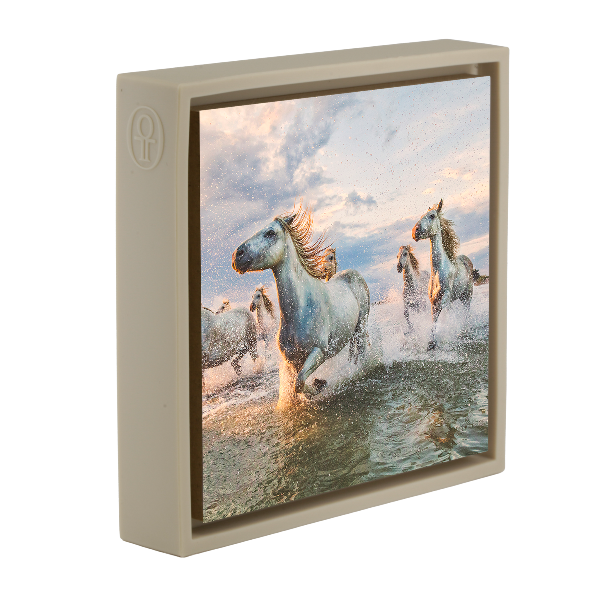 The White Horses of The Camargue France - Zandkleurige Wrapp