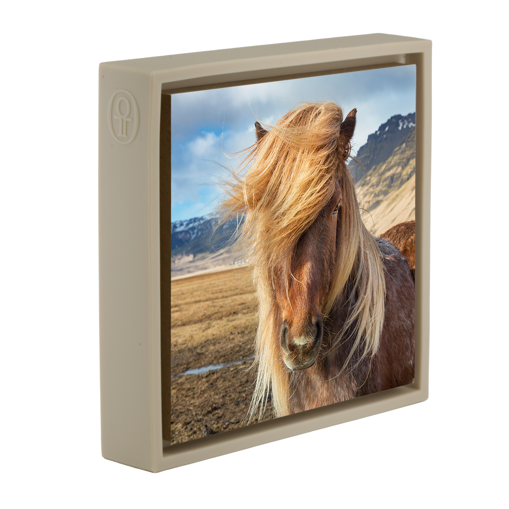 Icelandic Pony- Sand Wrapp