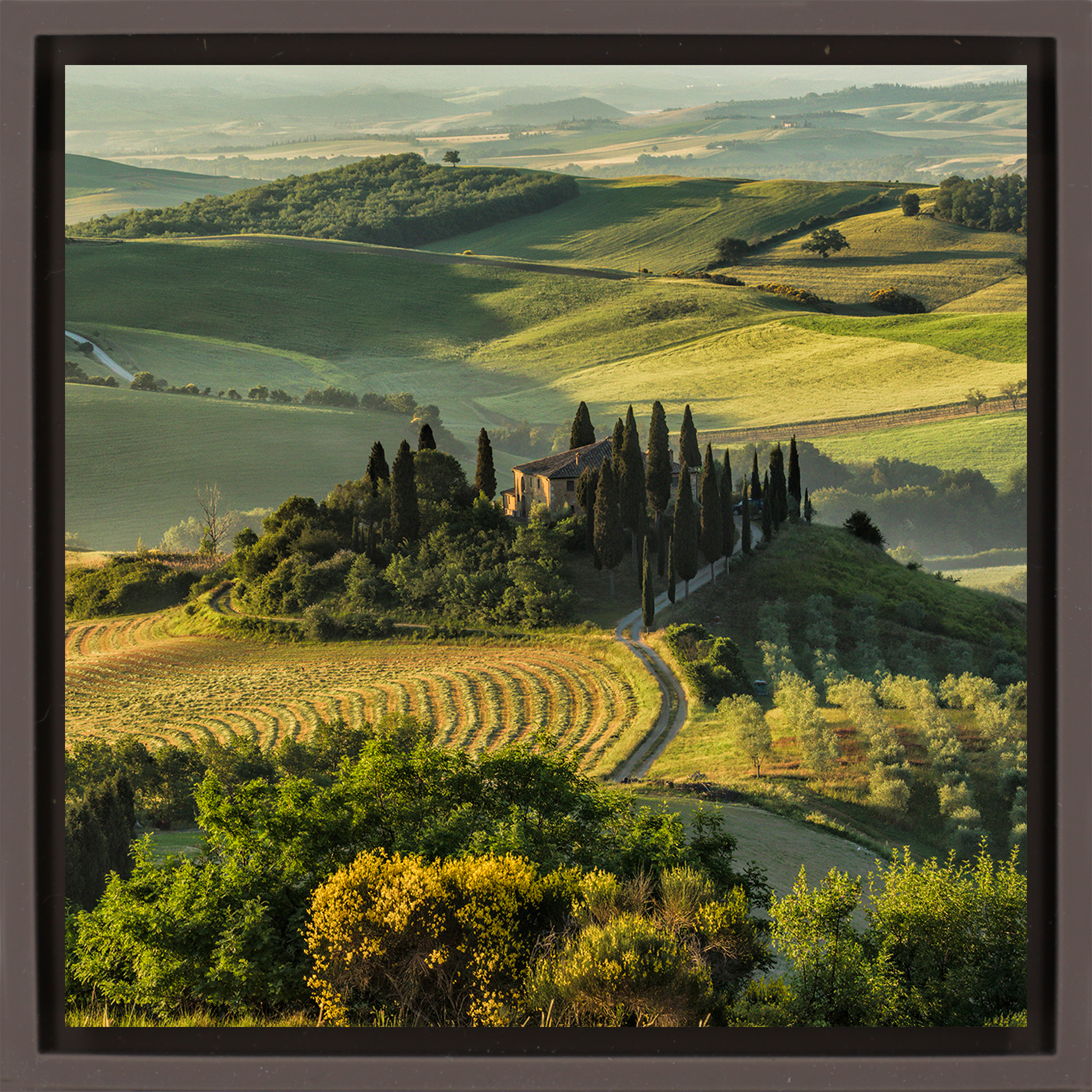 Belvedere In Tuscany- Brown Wrapp