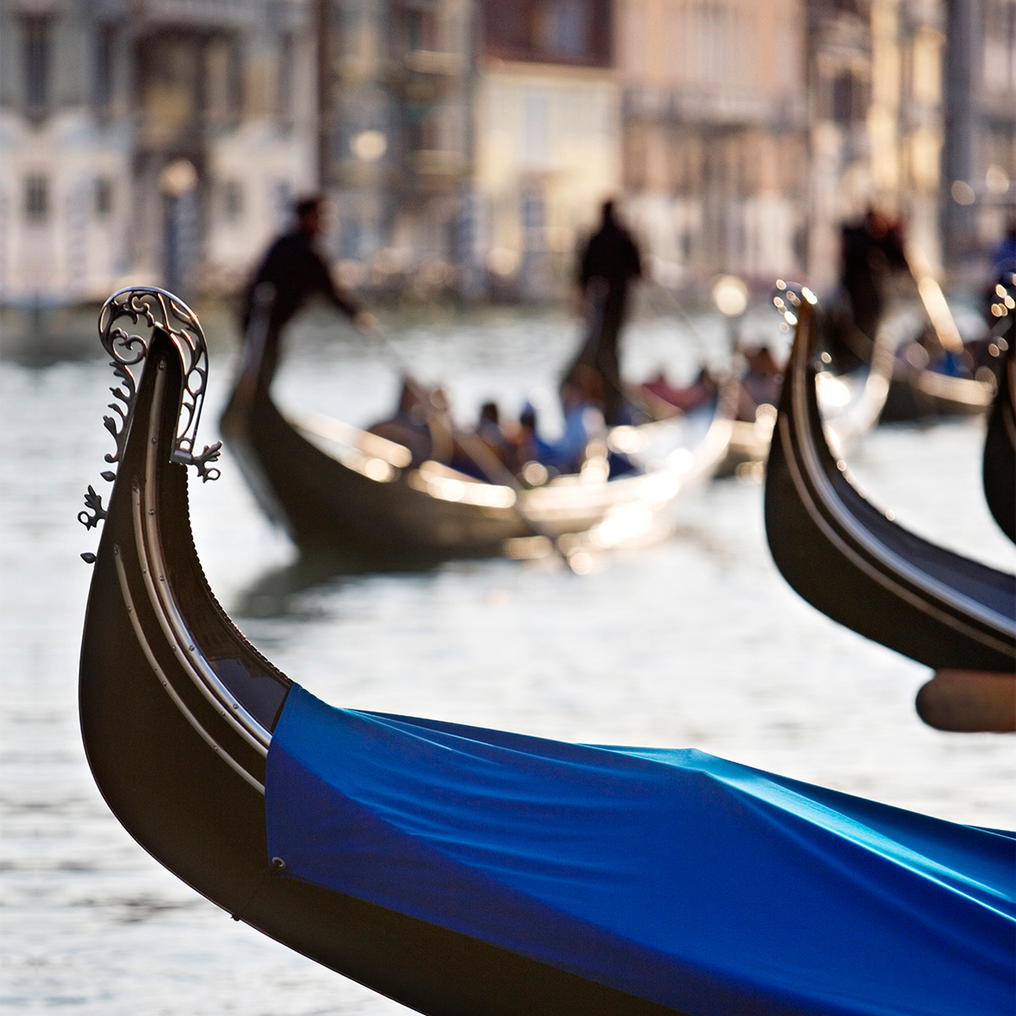 Gondolas In Venice- Collection: Italy