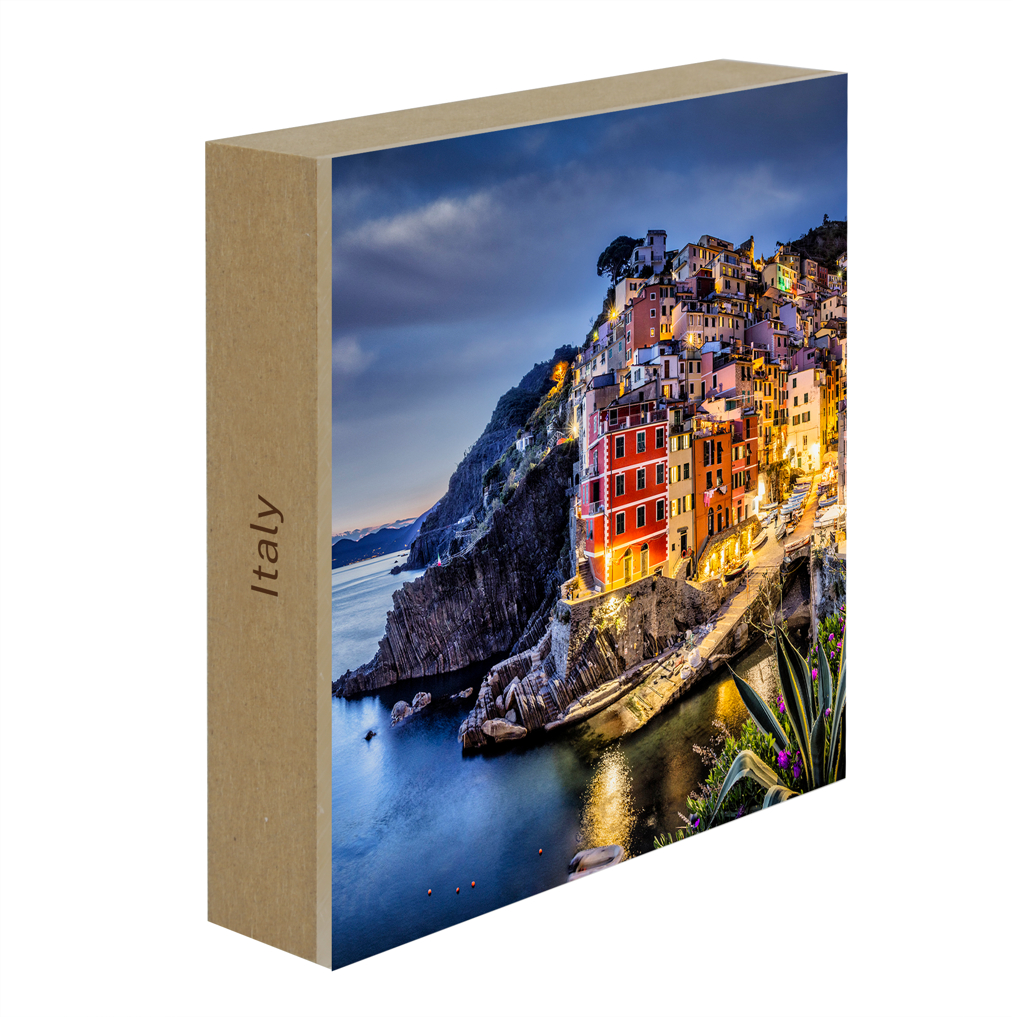 Riomaggiore in The Cinque Terra- Collection: Italy