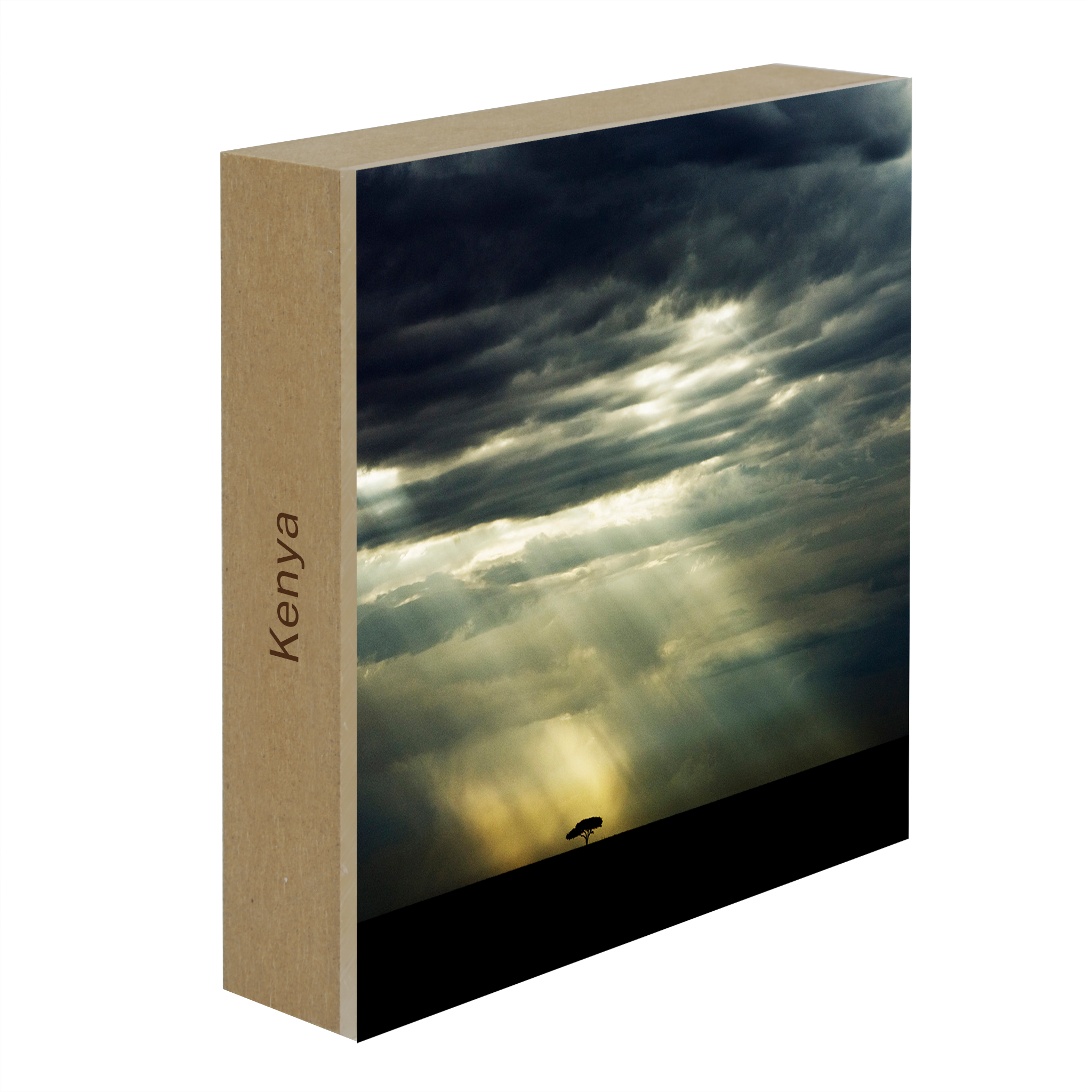 The Lone Tree - Collection: Kenya