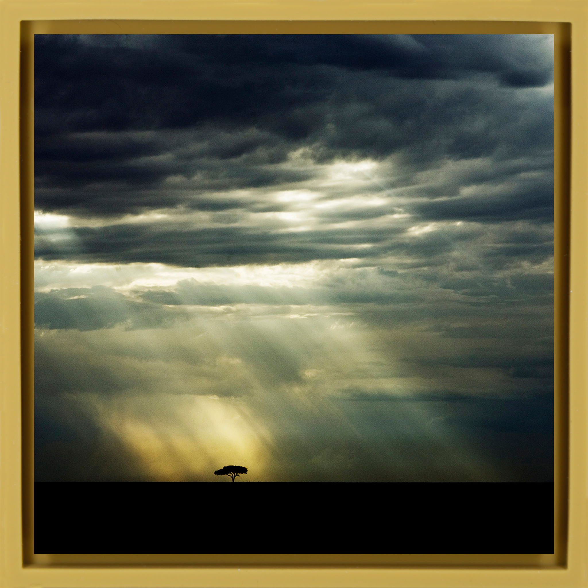 The Lone Tree - Okergele Wrapp