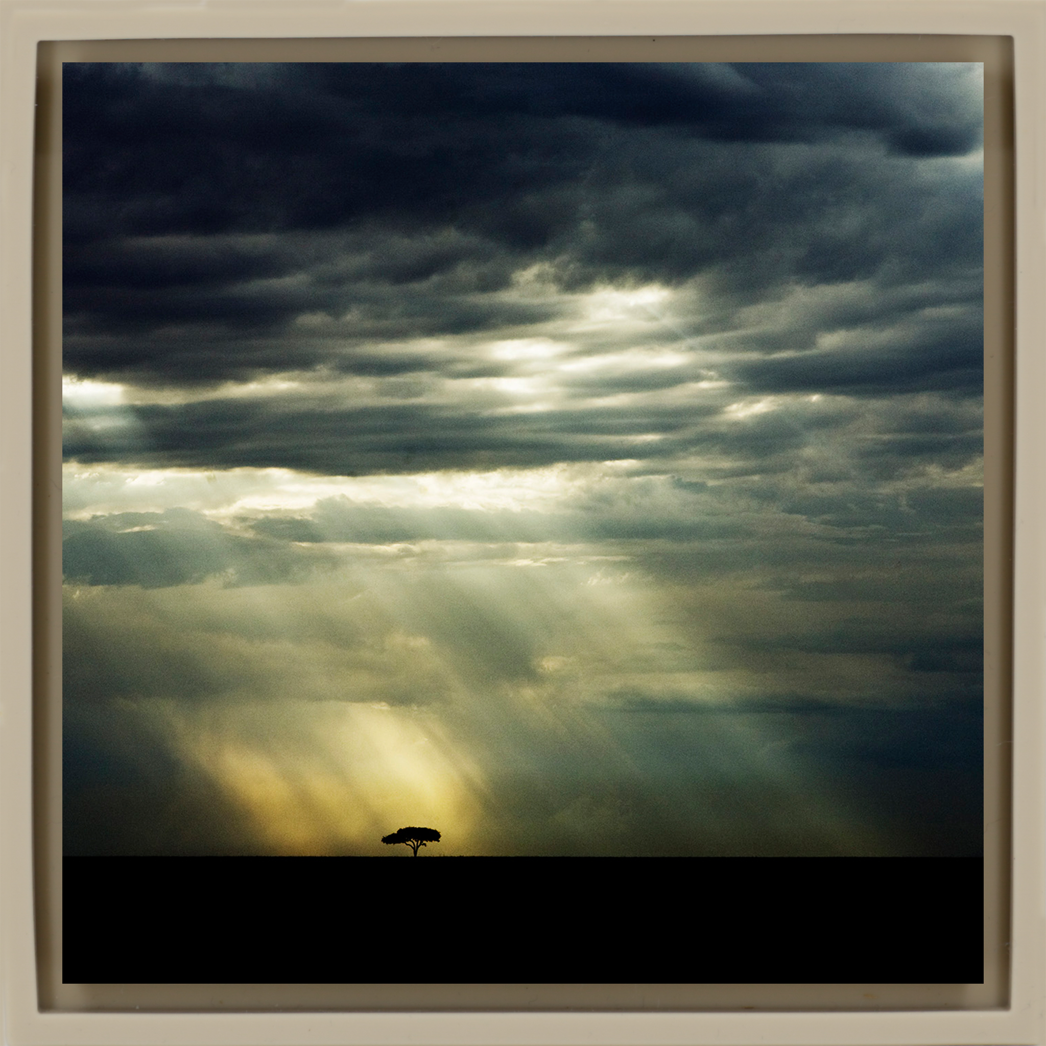 The Lone Tree - Zandkleurige Wrapp