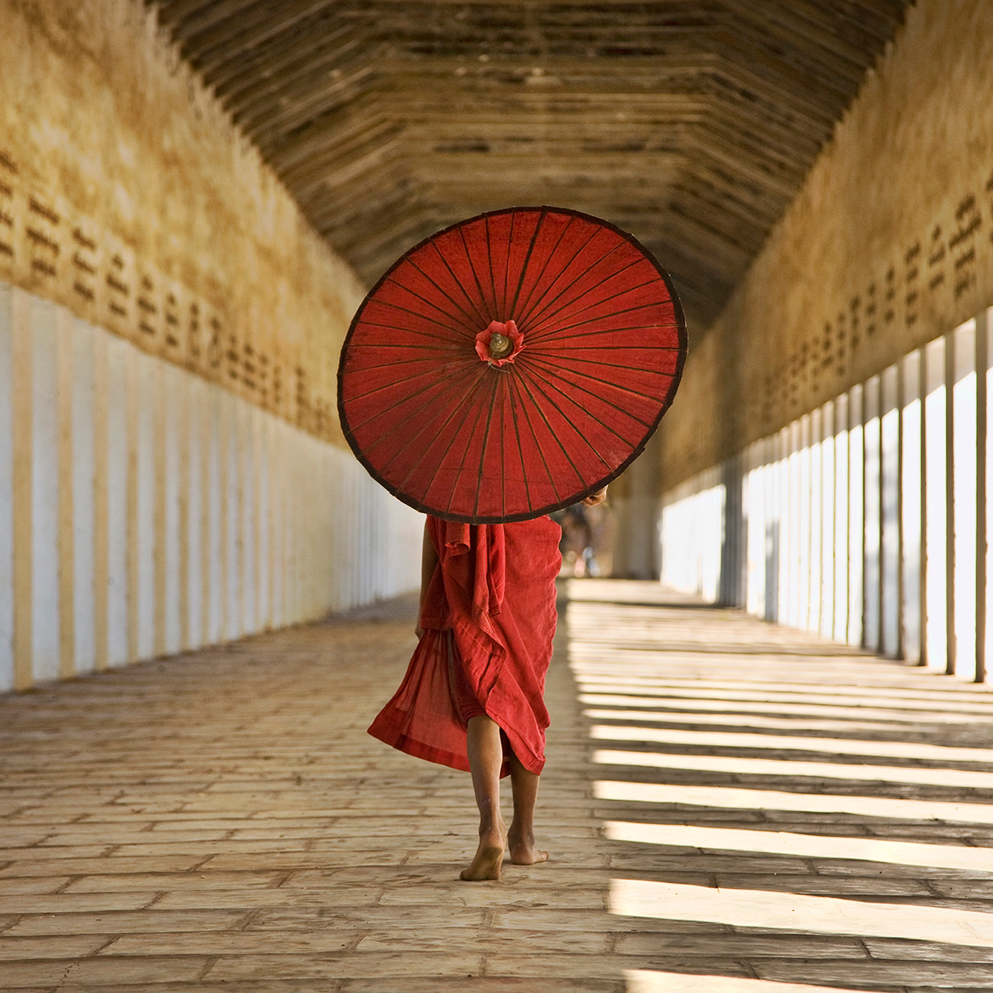 Burmese Monk- Collection: Myanmar