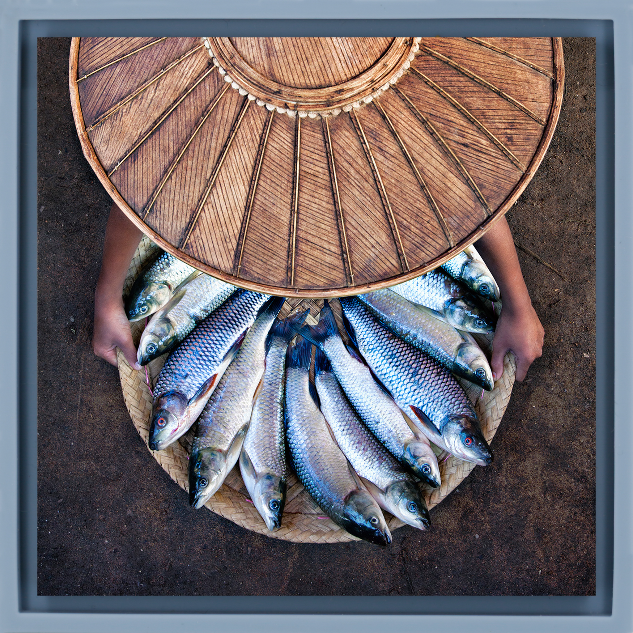 Inle-See-Fischer – Hellblaue Verpackung