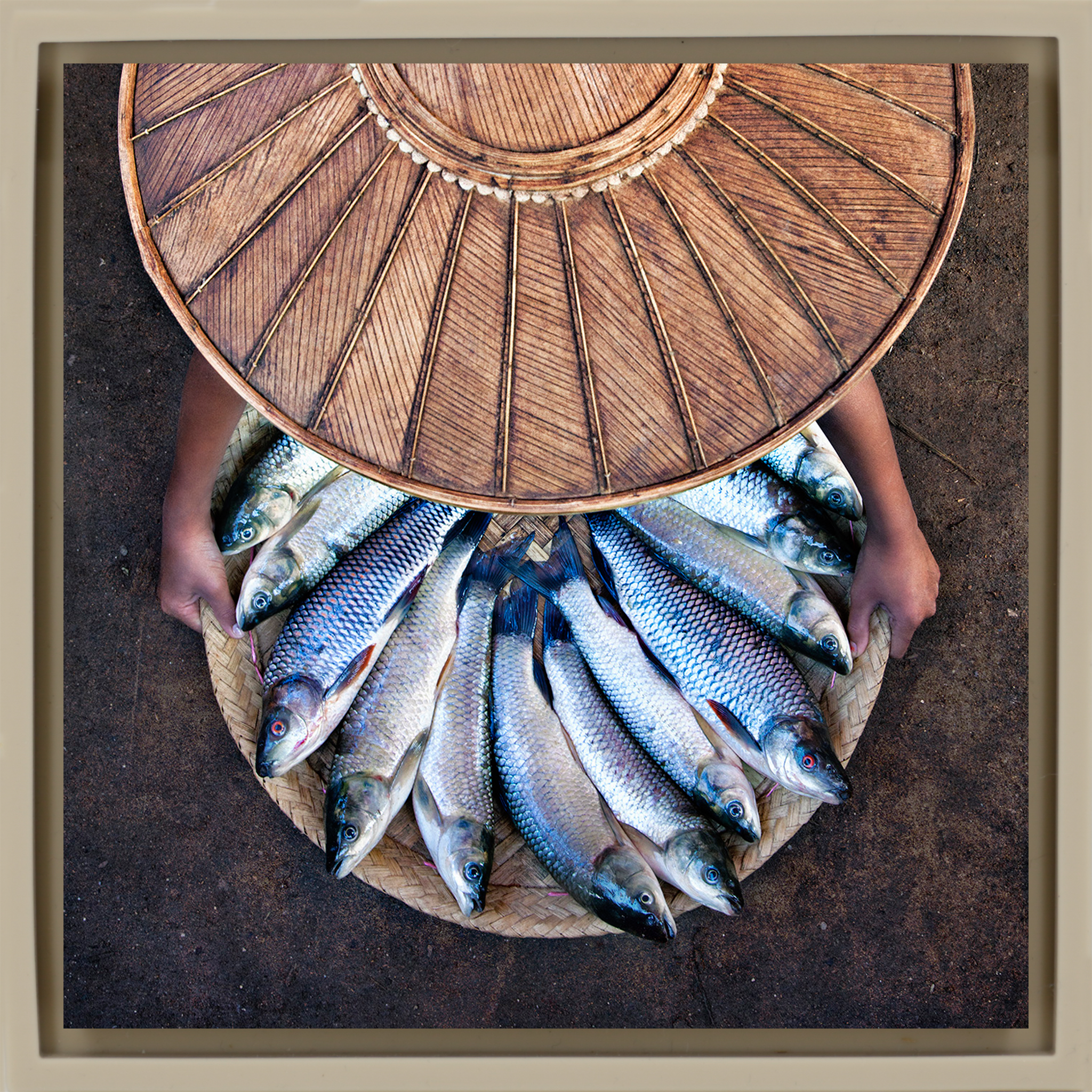 Inle-See-Fischer – Sand Wrapp