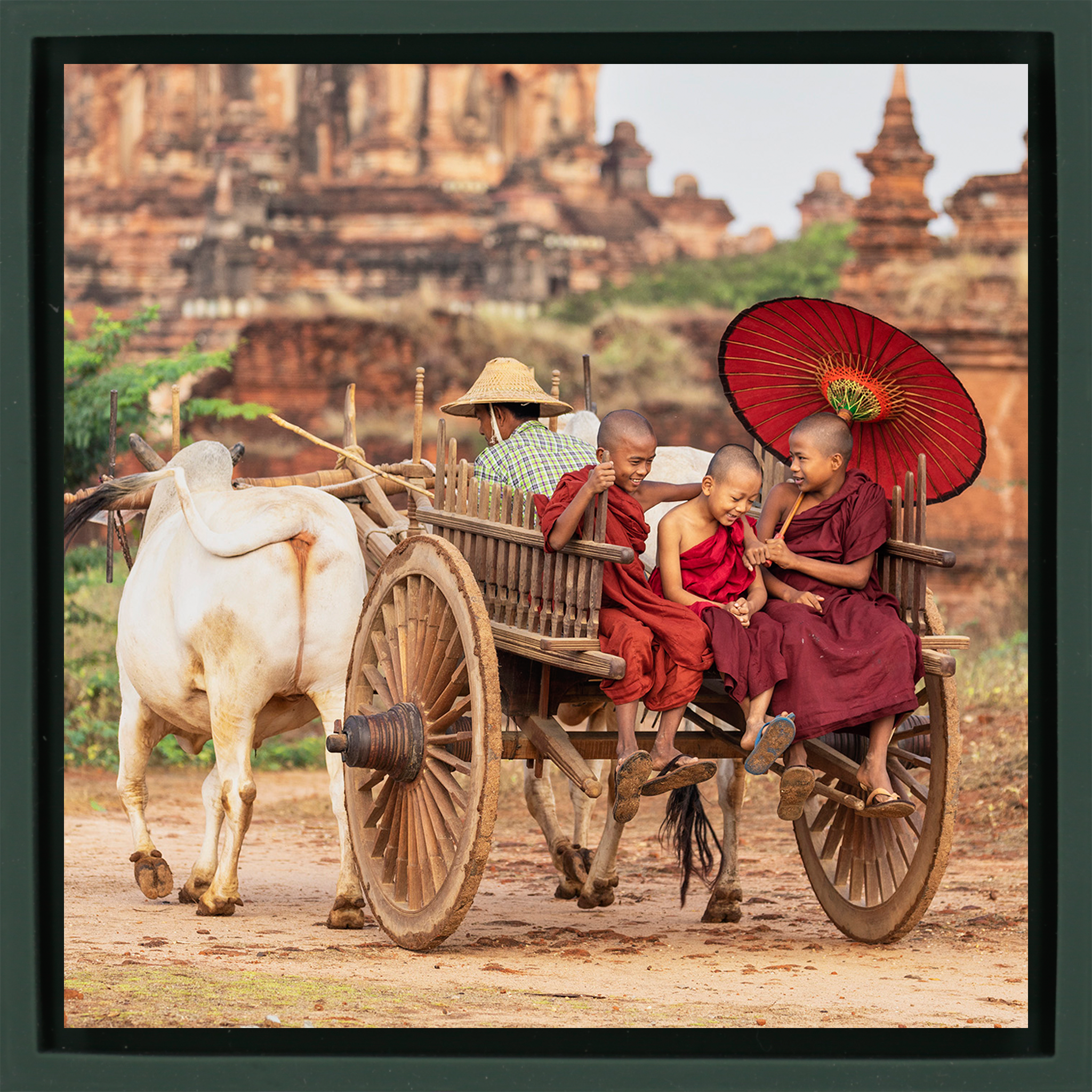 Monks in Bagan - Donkergroene Wrapp