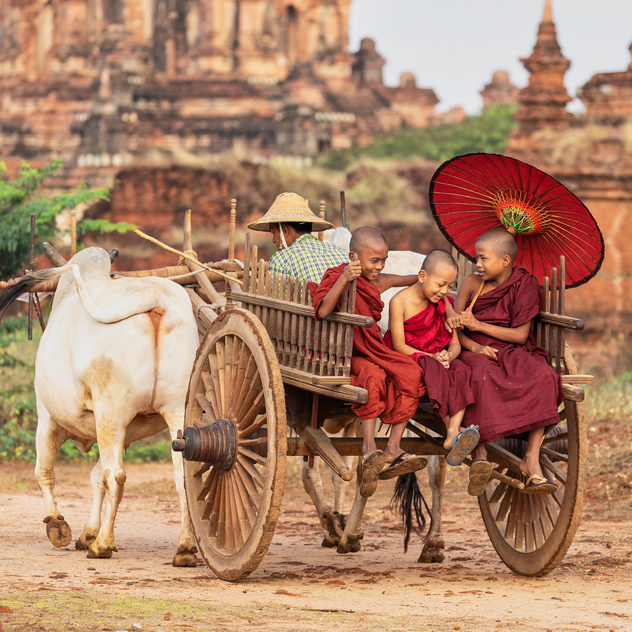 Monks in Bagan - Collection: Myanmar
