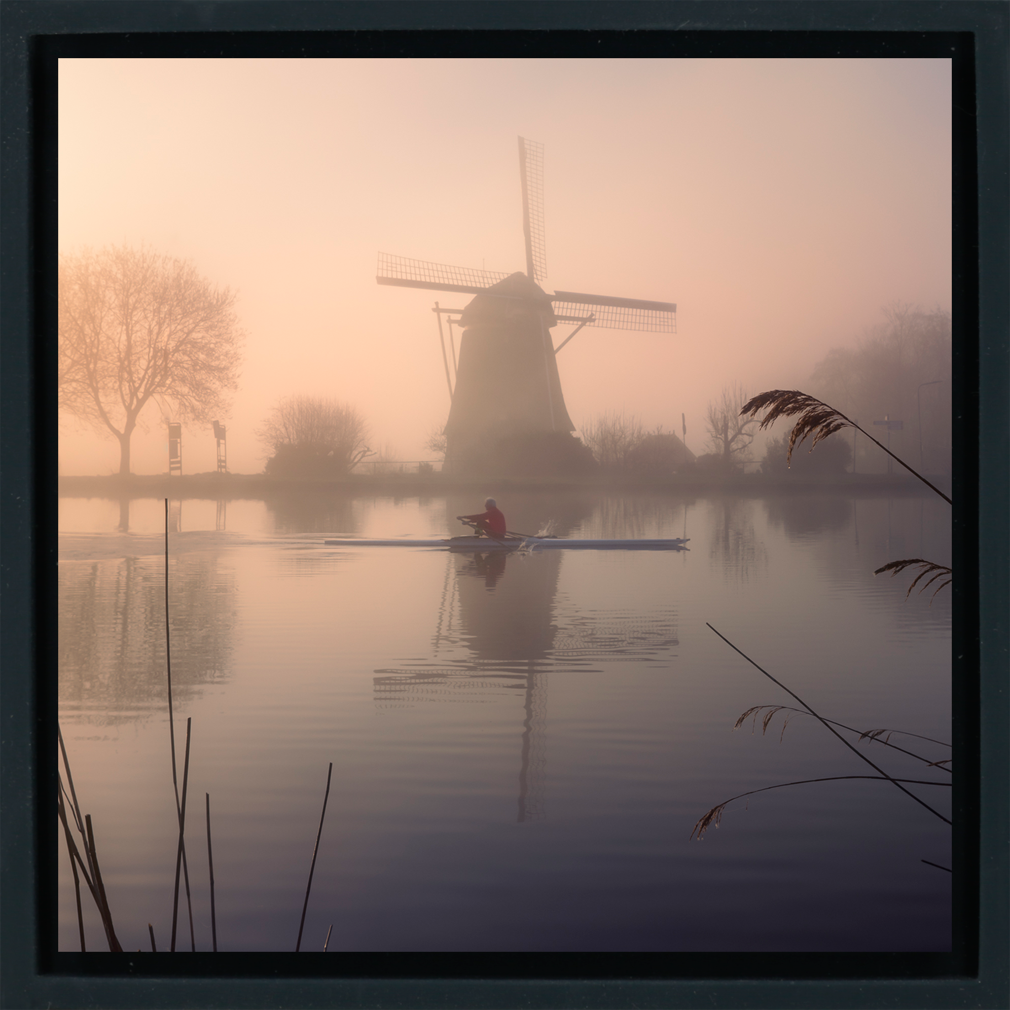 Amstel Gold- Black Wrapp