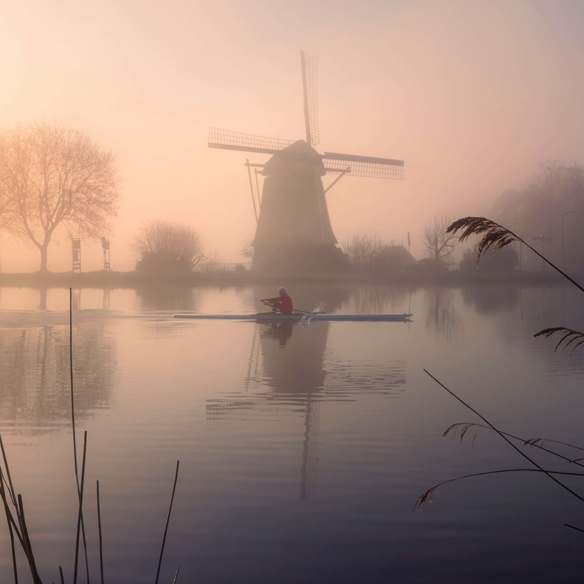 Amstel Gold- Collection: The Netherlands