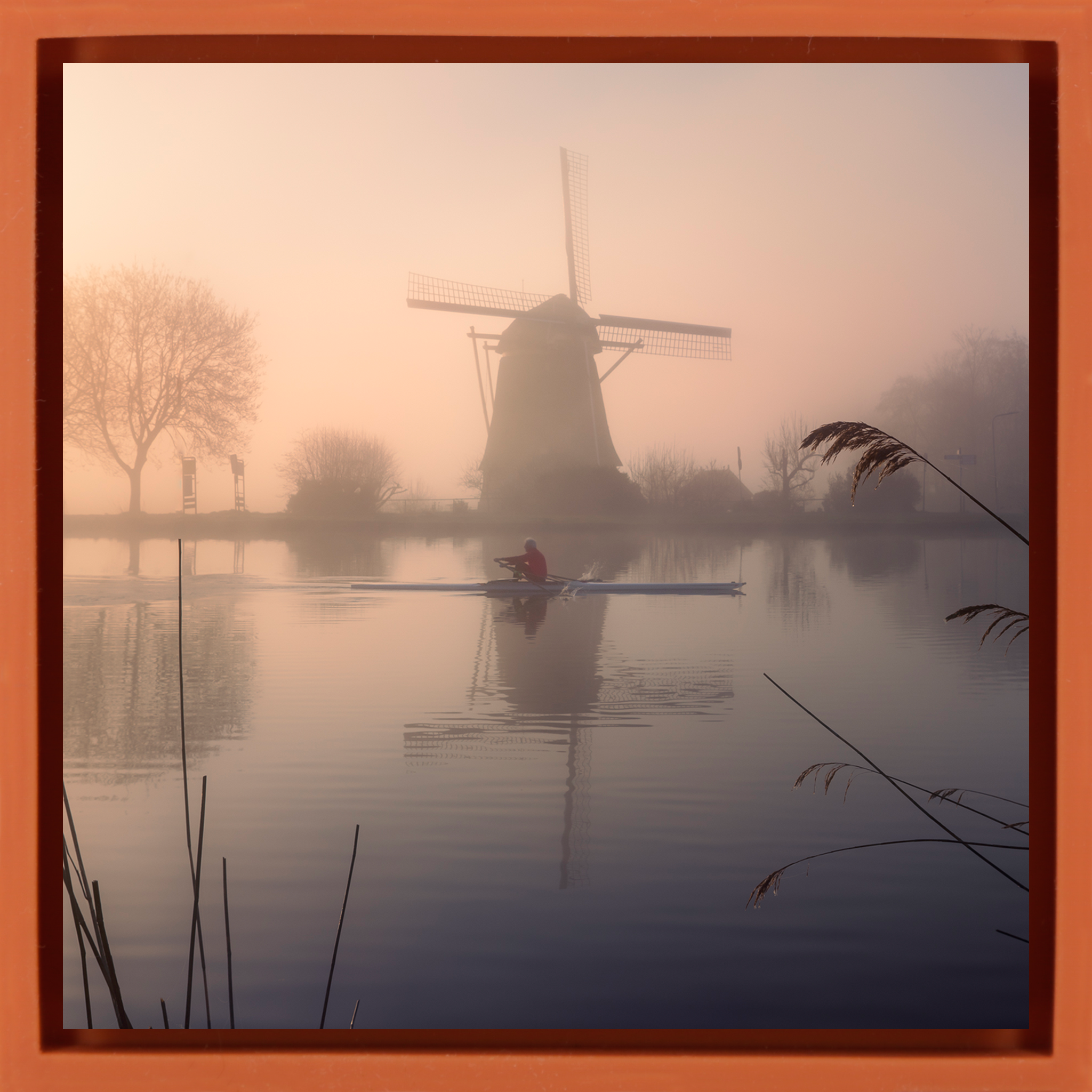 Amstel Gold- Orange Wrapp