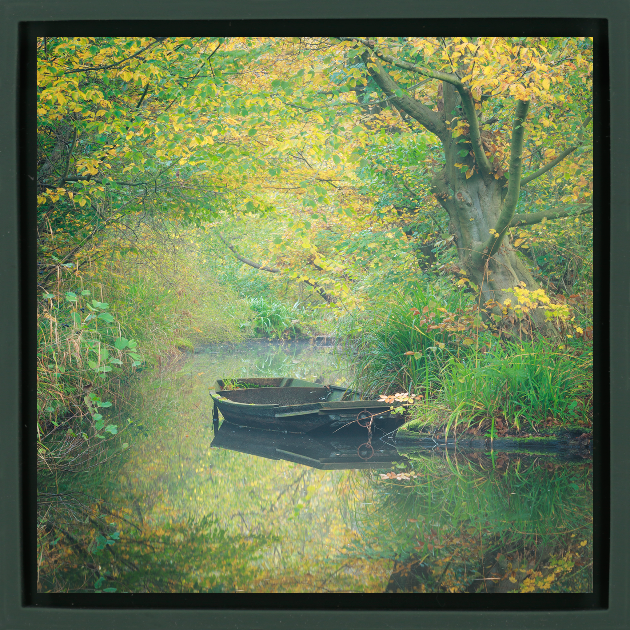 Natures Mirror at Thijssepark - Donkergroene Wrapp