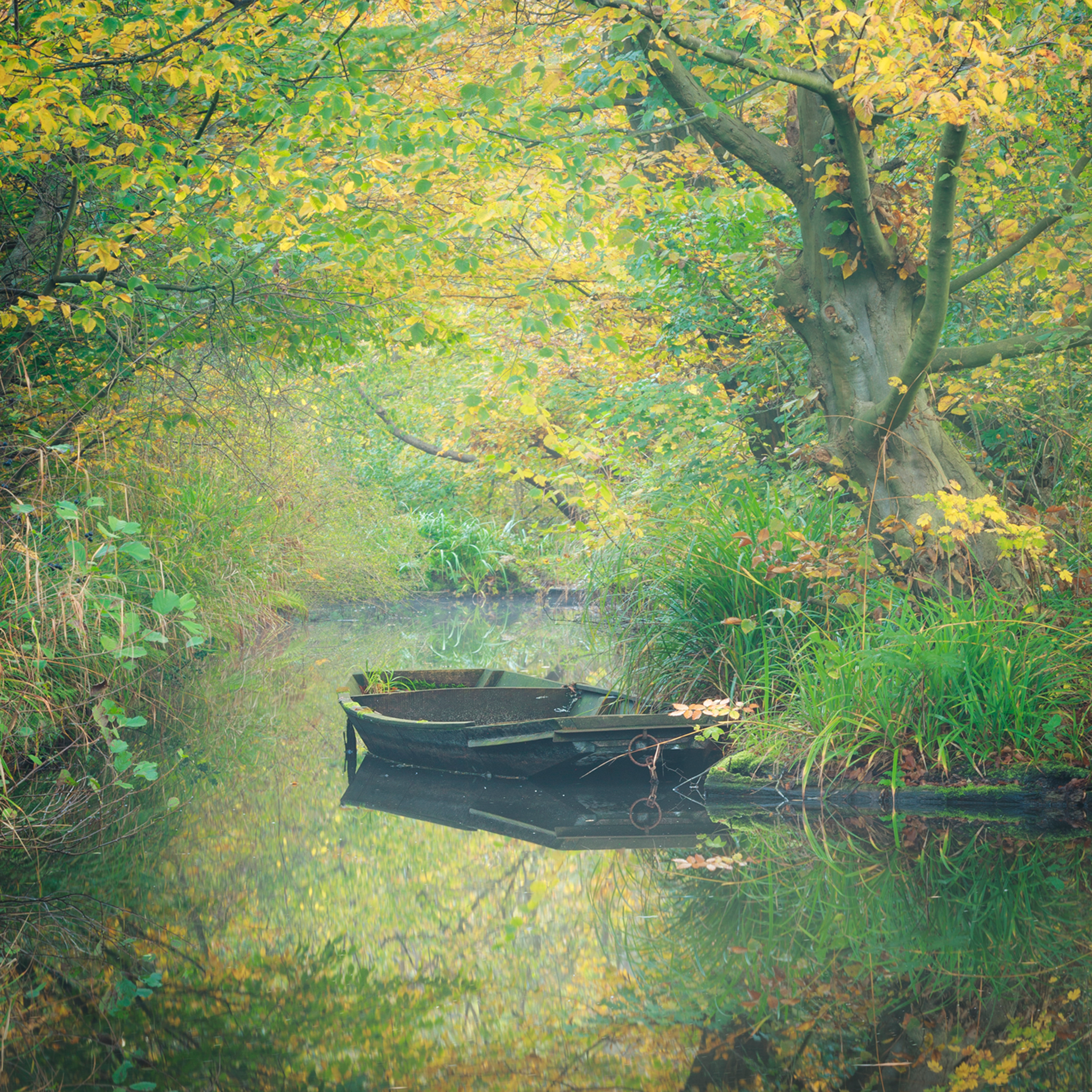 Natures Mirror at Thijssepark- Collection: The Netherlands