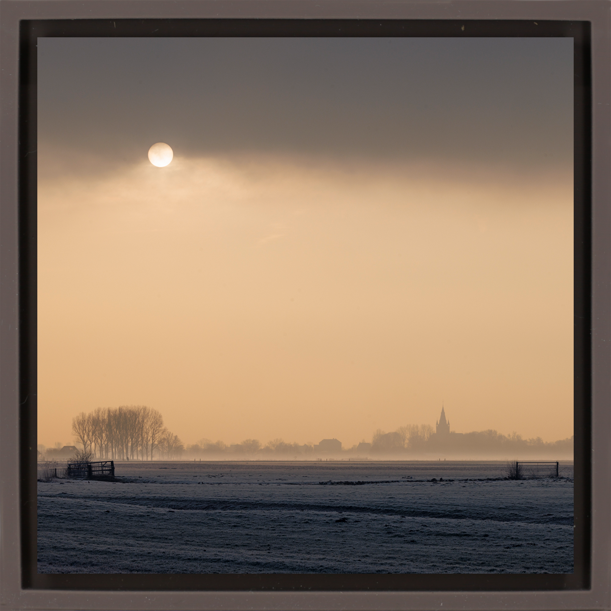 The Pale Sun of the Polder - Bruine Wrapp