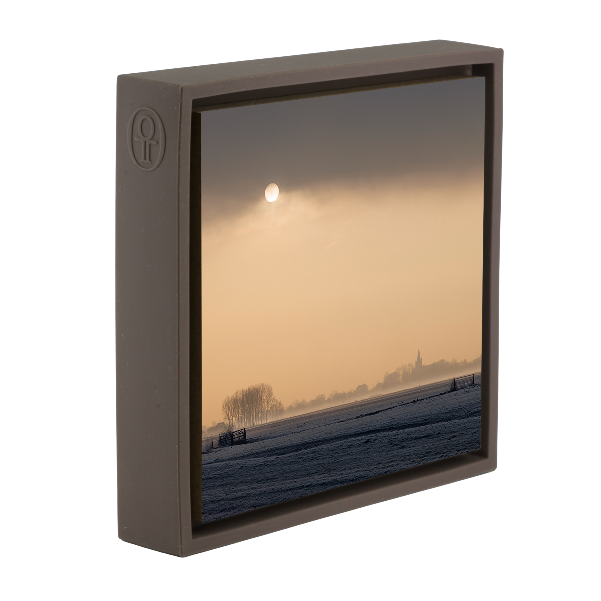 The Pale Sun of the Polder - Bruine Wrapp