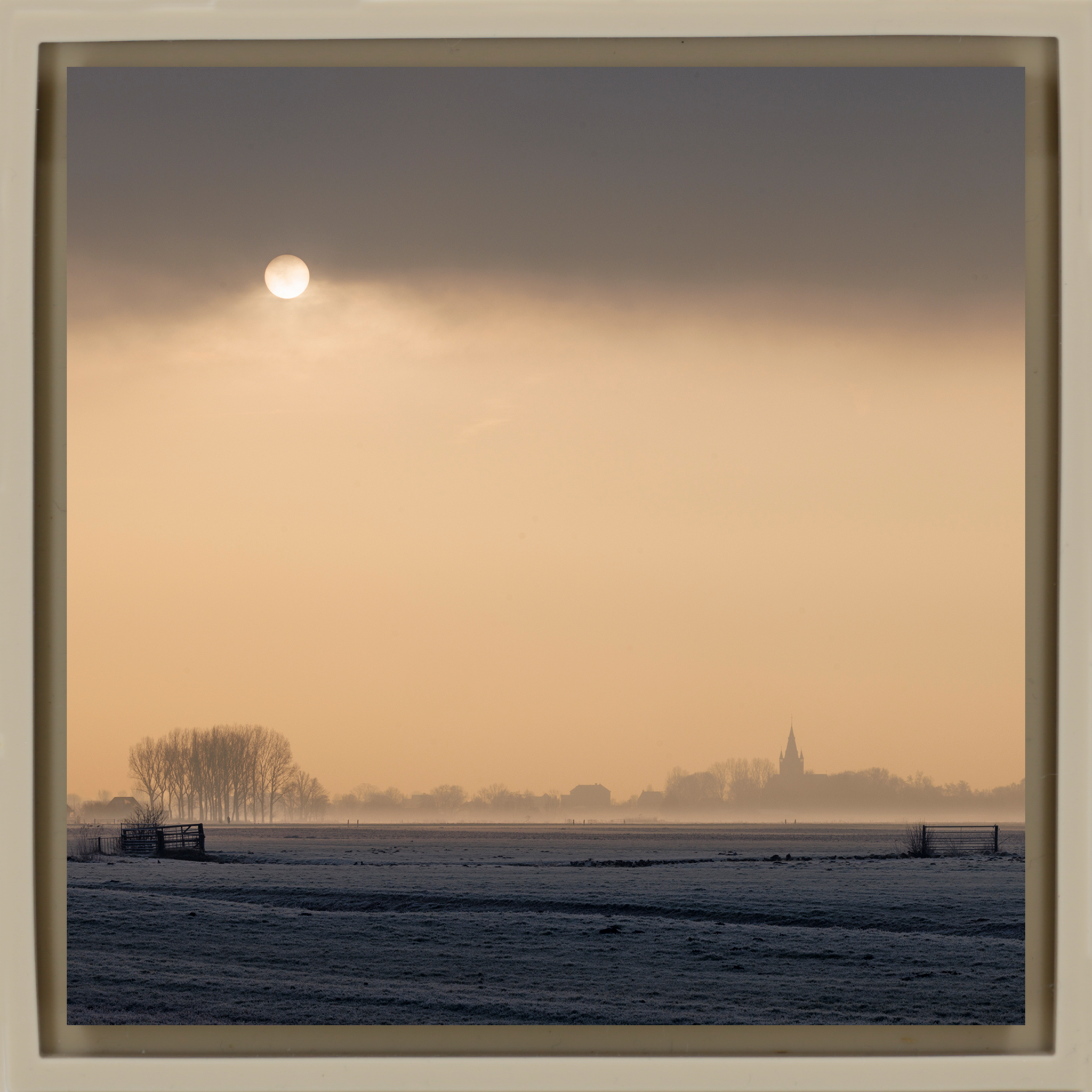 The Pale Sun of the Polder - Zandkleurige Wrapp
