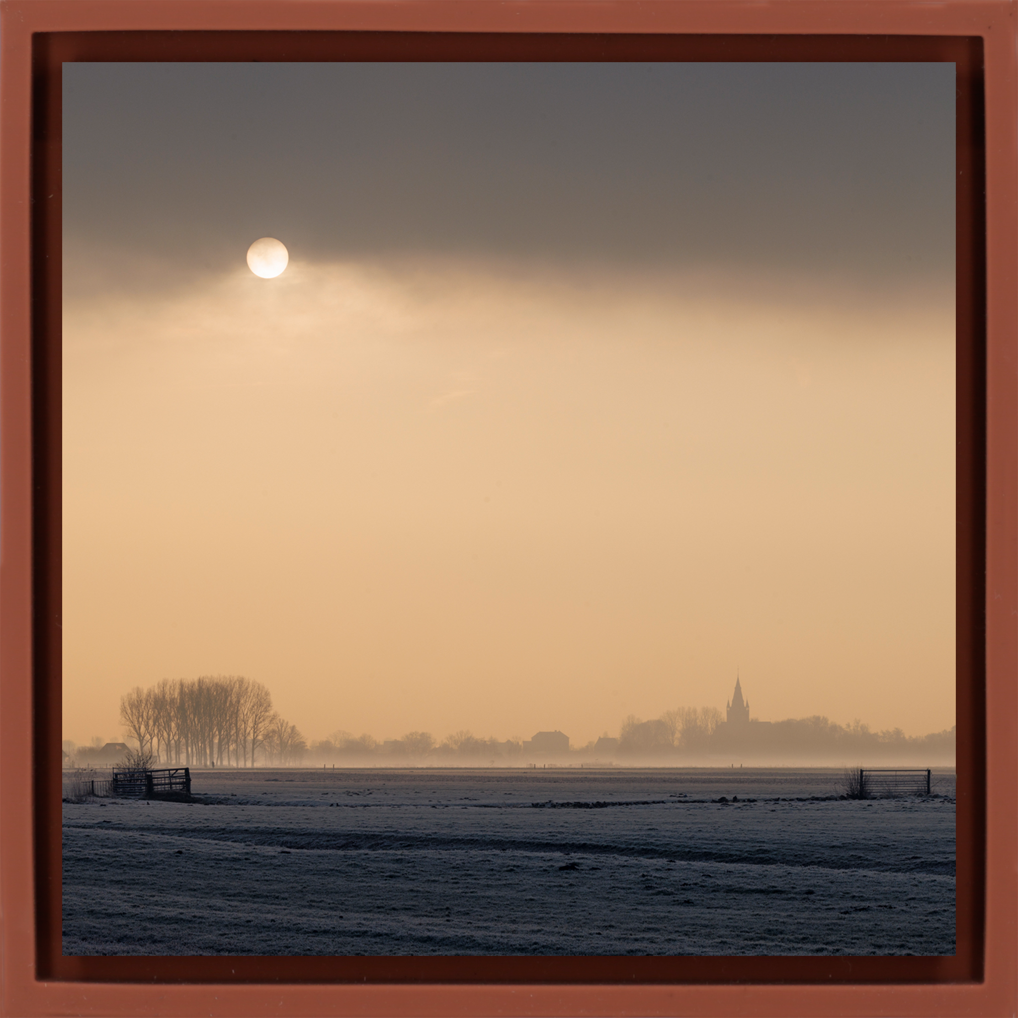 The Pale Sun of the Polder - Terra Wrapp