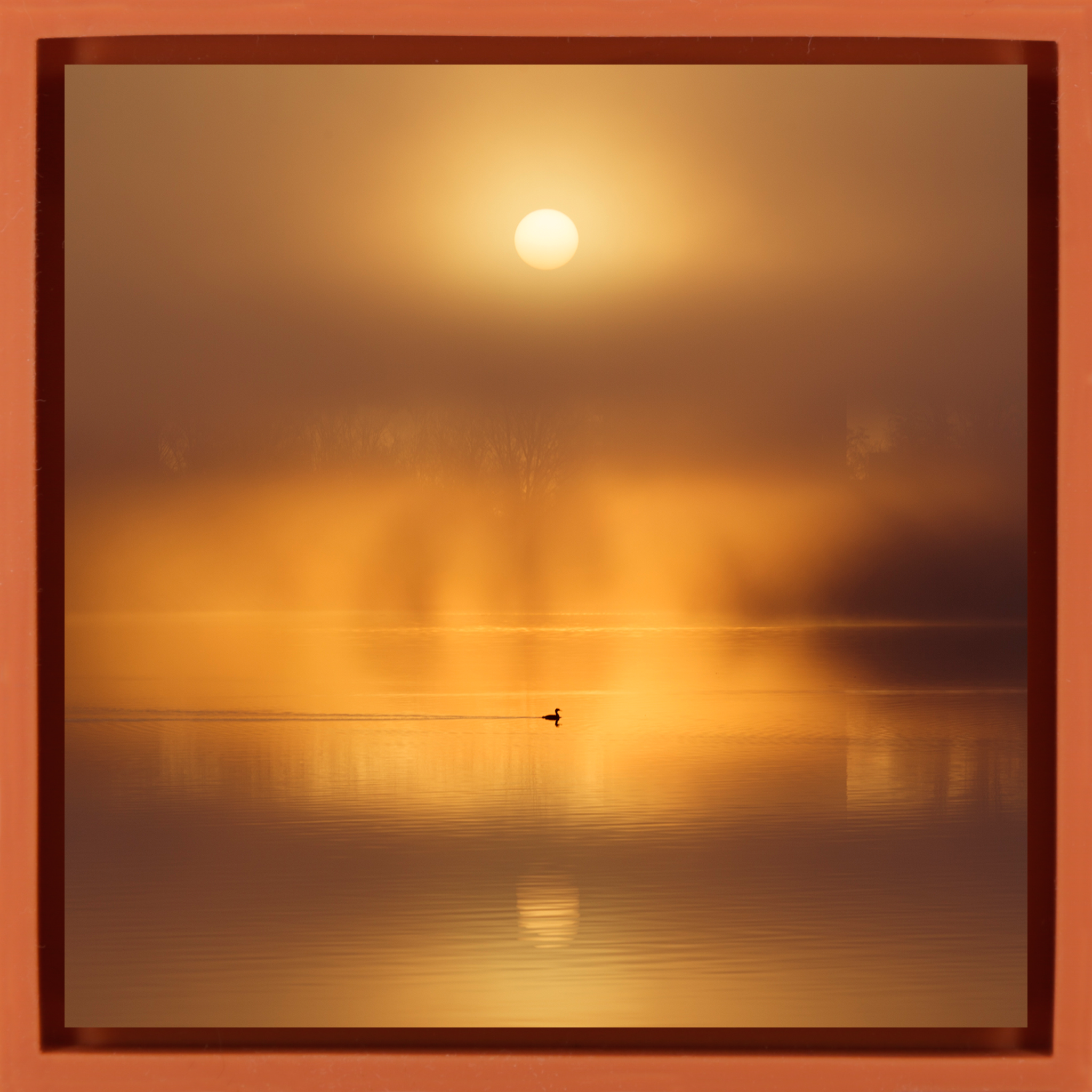 Silent Ripple on De Poel- Orange Wrapp