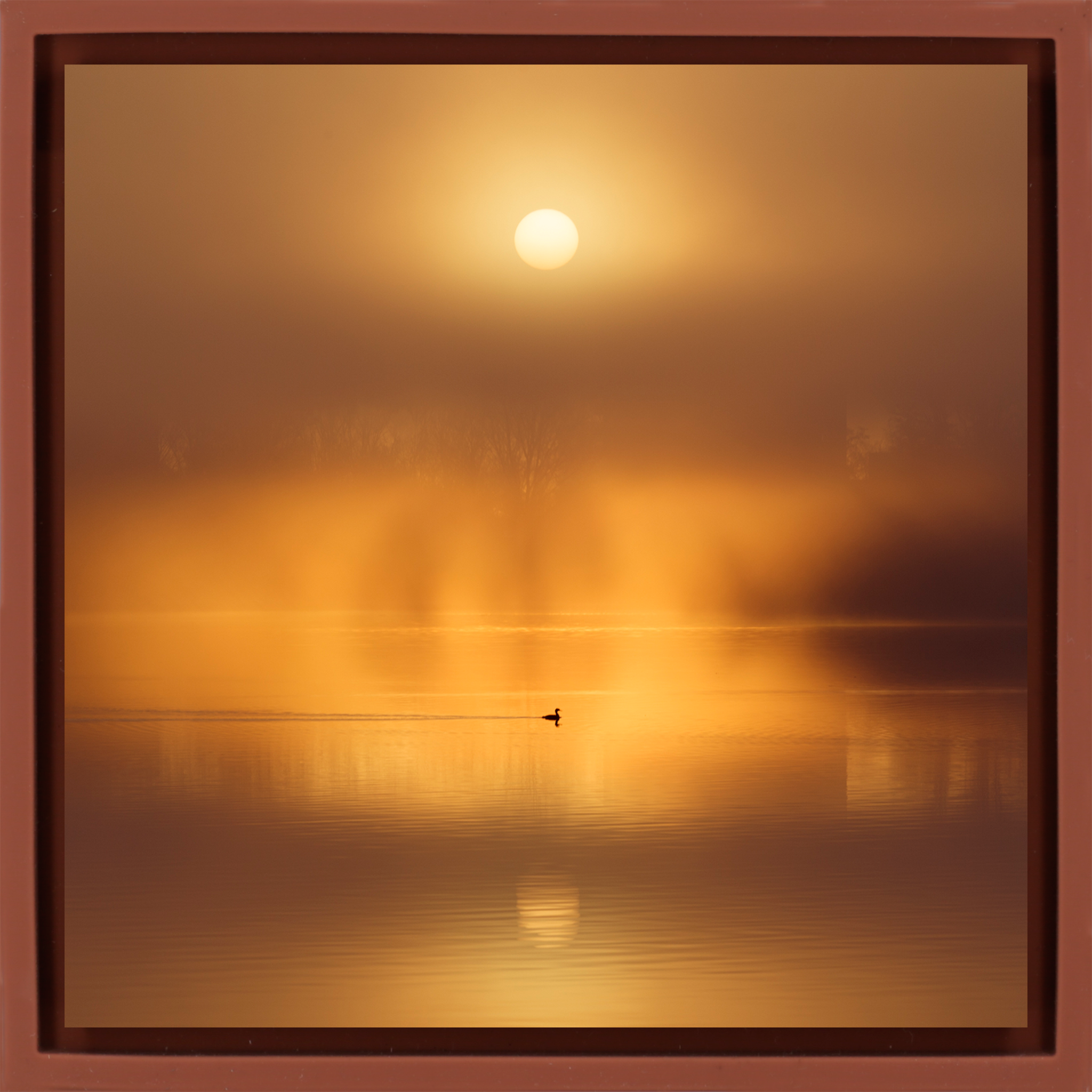 Silent Ripple on De Poel - Terra Wrapp