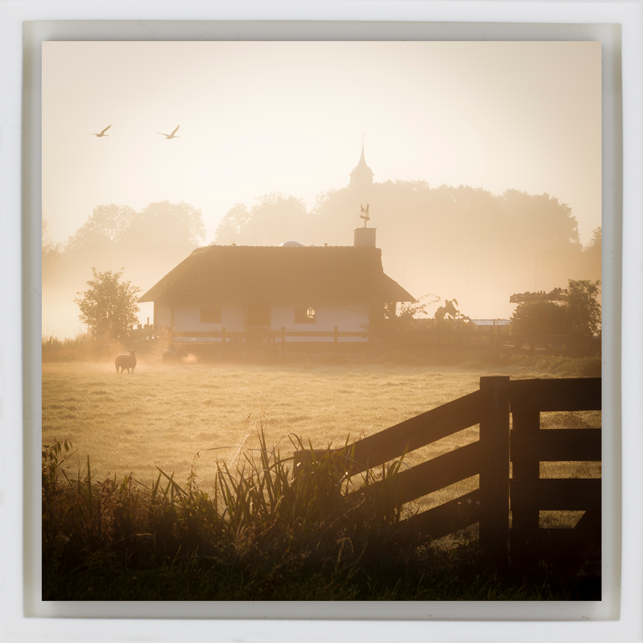 Ouderkerk Farmhouse- White Wrapp