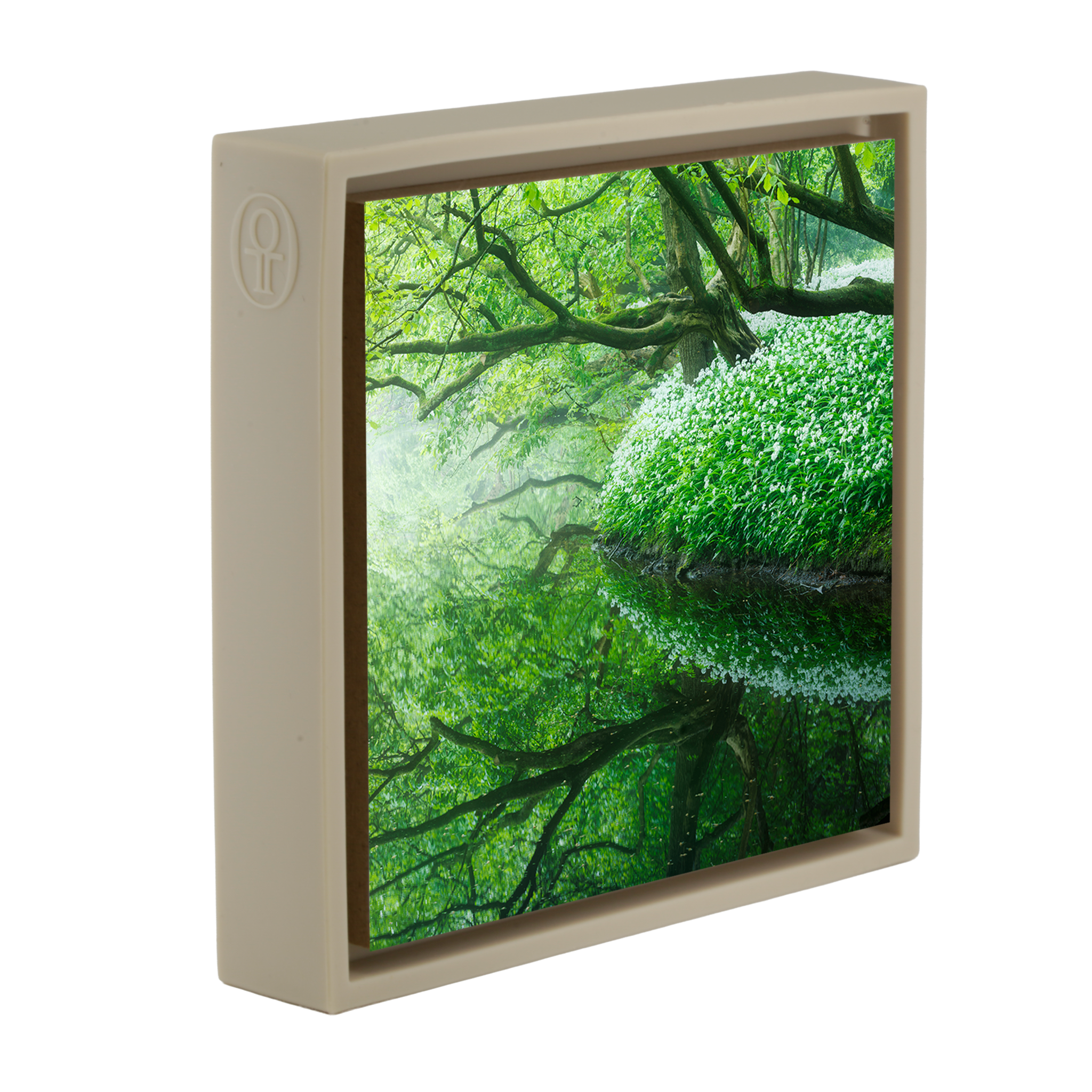 Reflections of the Amsterdamse Bos- Sand Wrapp