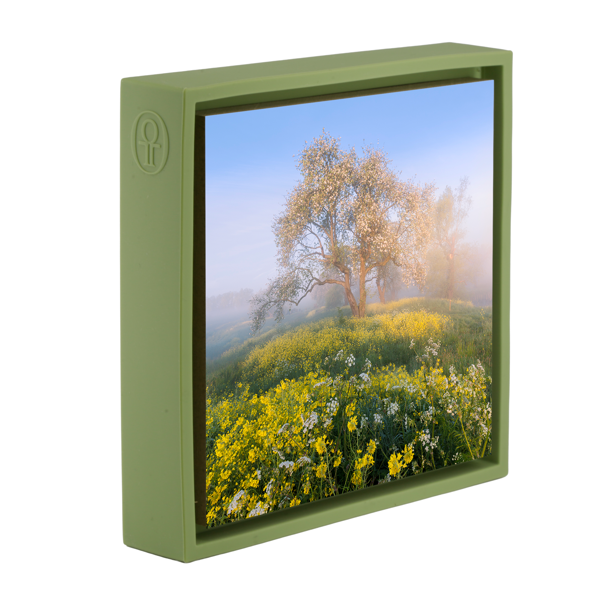 Blossom in De Betuwe- Light Green Wrapp