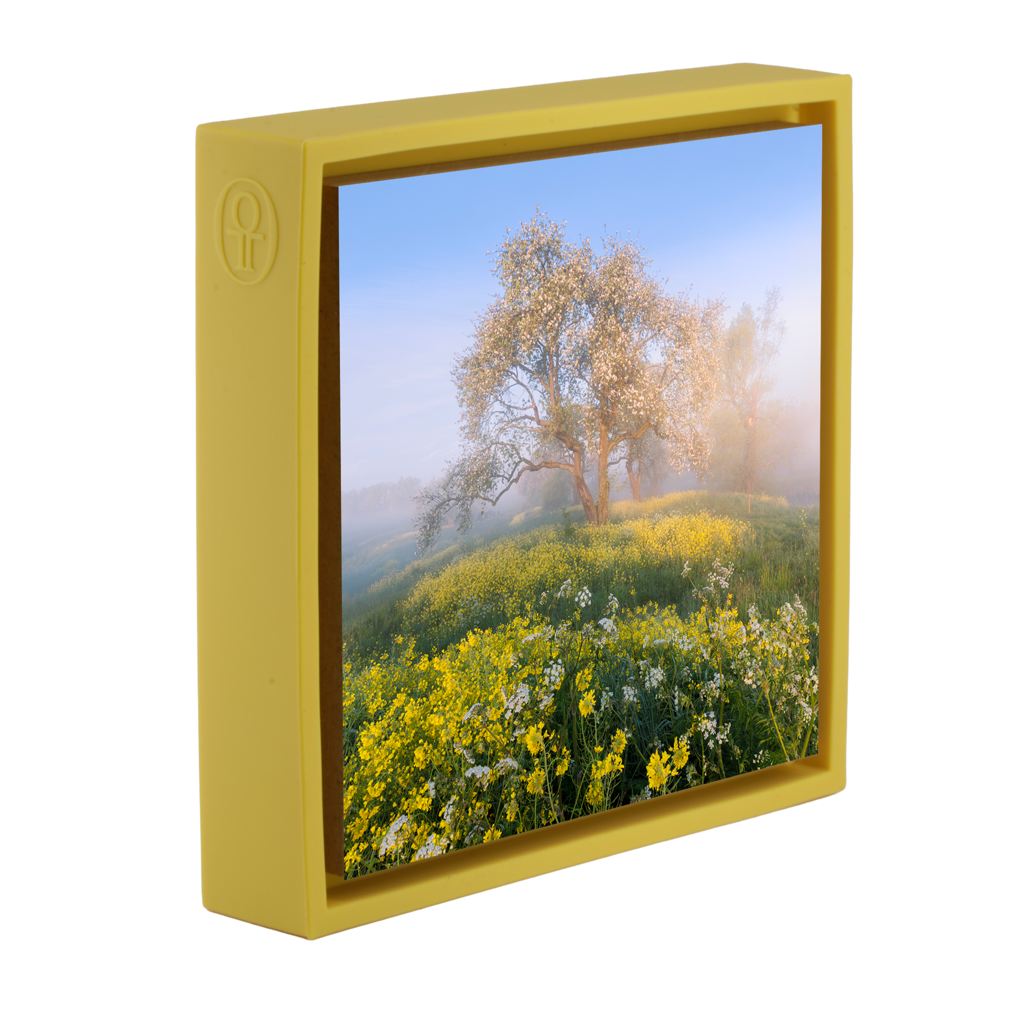 Blossom in De Betuwe - Gele Wrapp