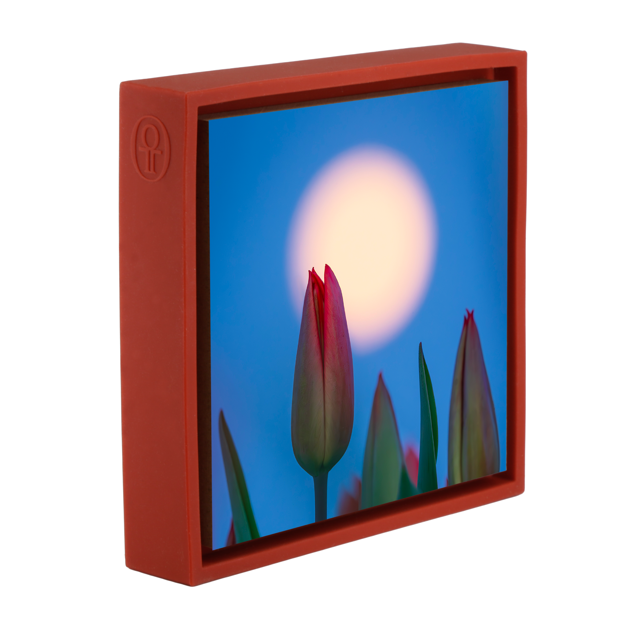 Lunar Tulip- Red Wrapp