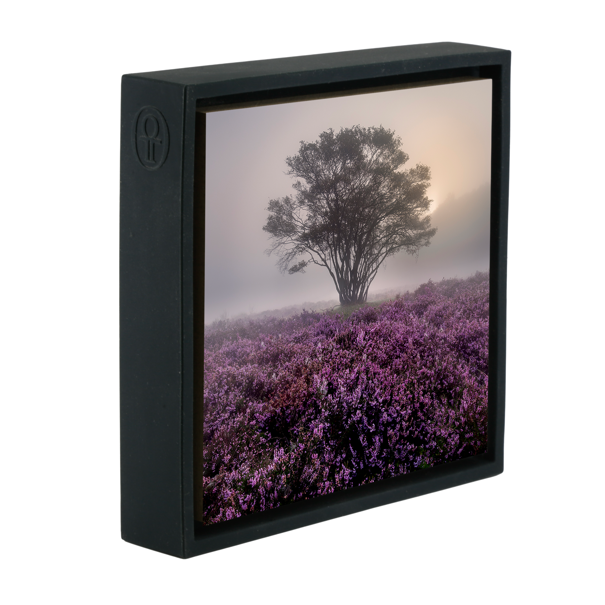 Purple Heather- Black Wrapp