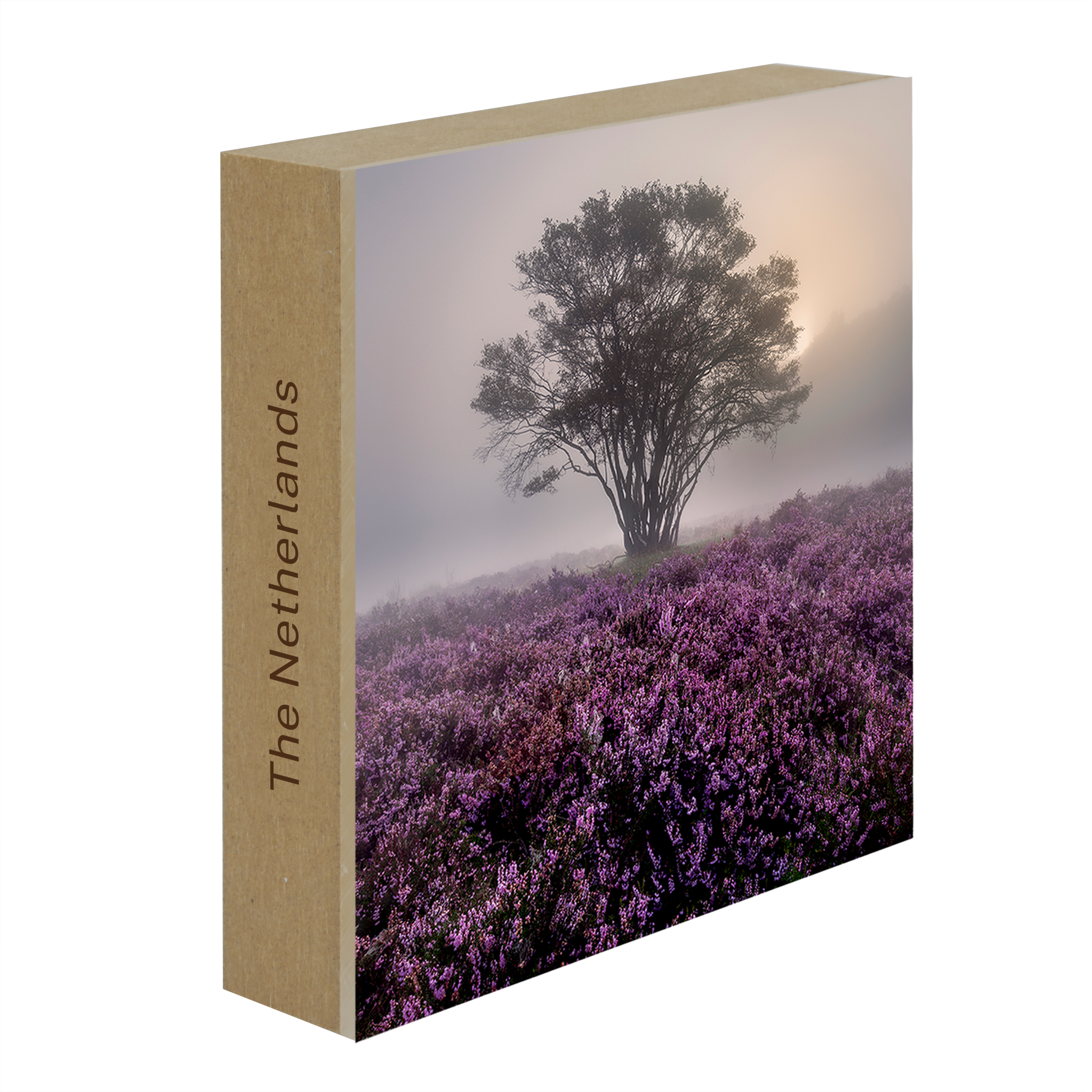 Purple Heather- Collection: The Netherlands