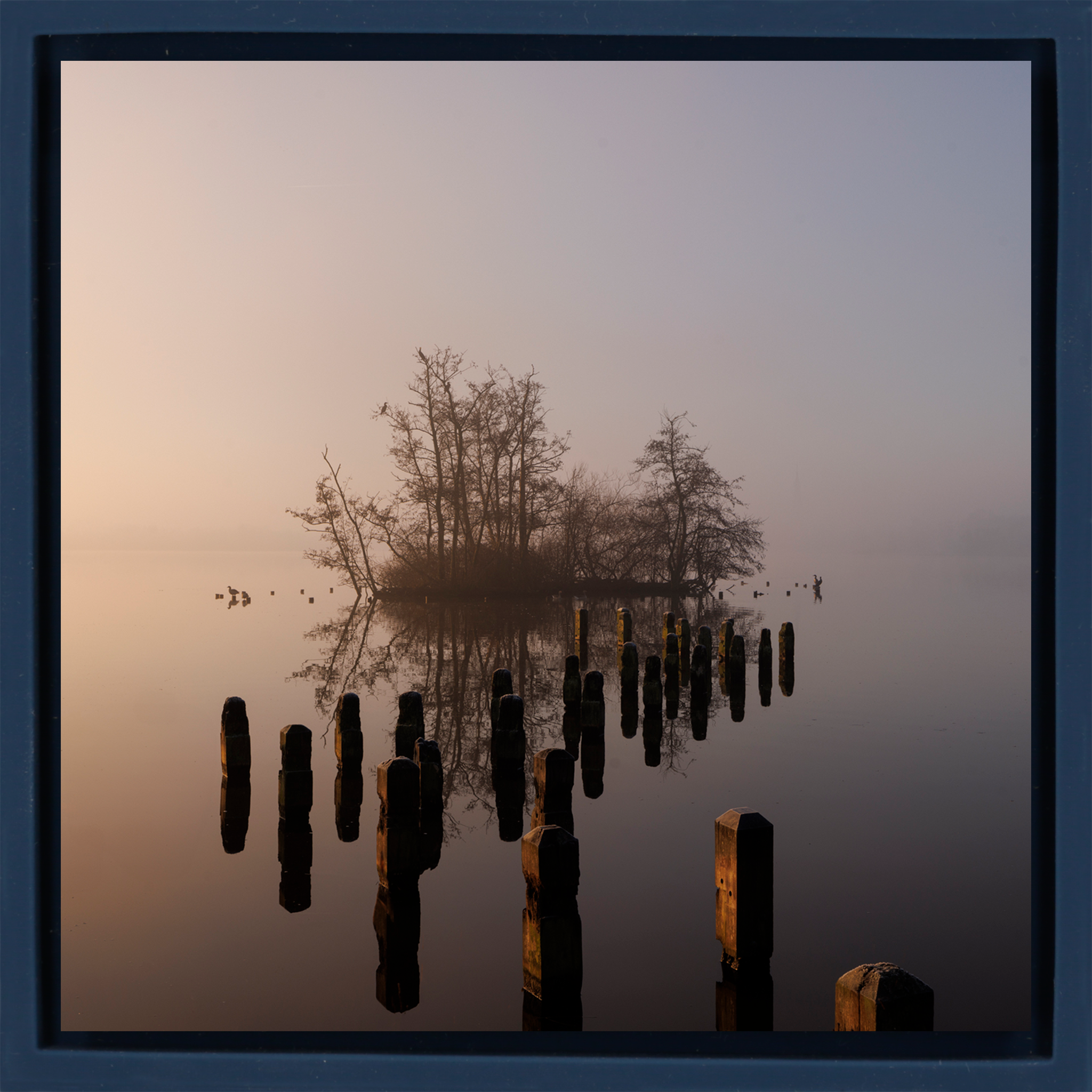 Island in De Poel- Dark Blue Wrapp