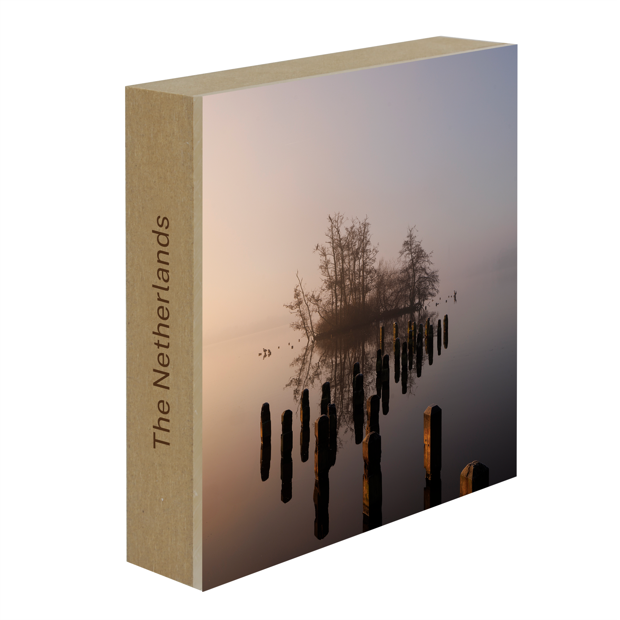 Island in De Poel- Collection: The Netherlands