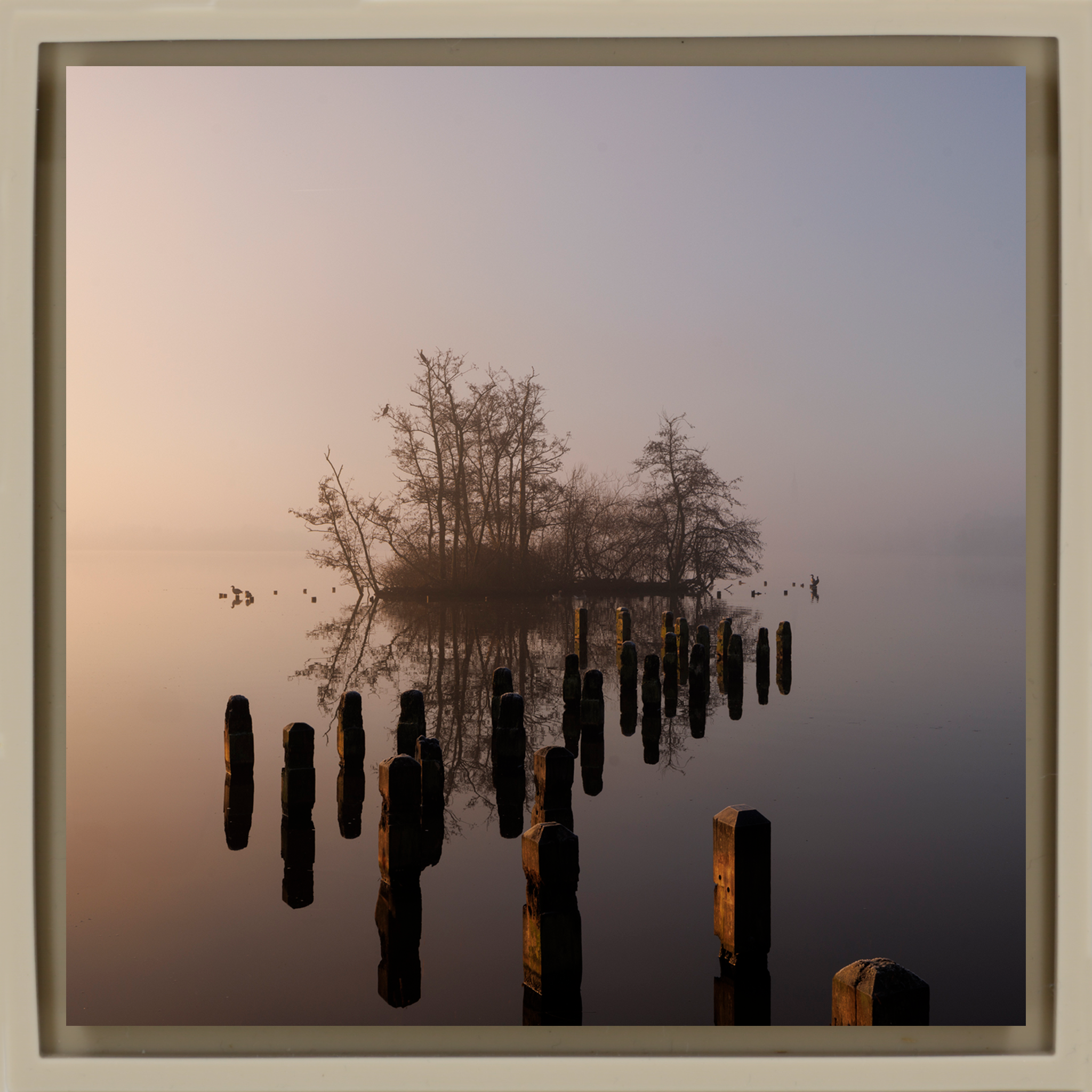 Island in De Poel- Sand Wrapp
