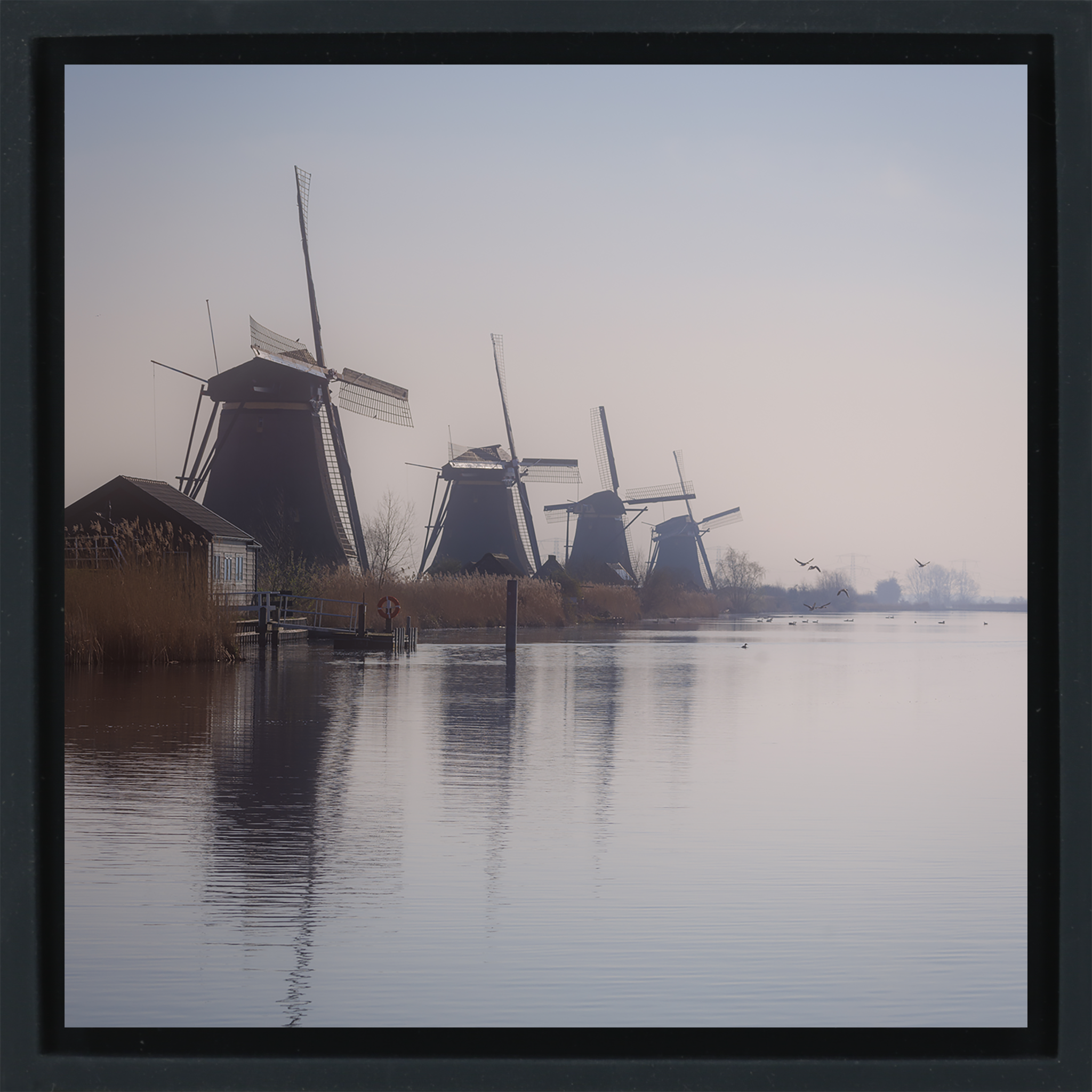 The Giants of Kinderdijk- Black Wrapp