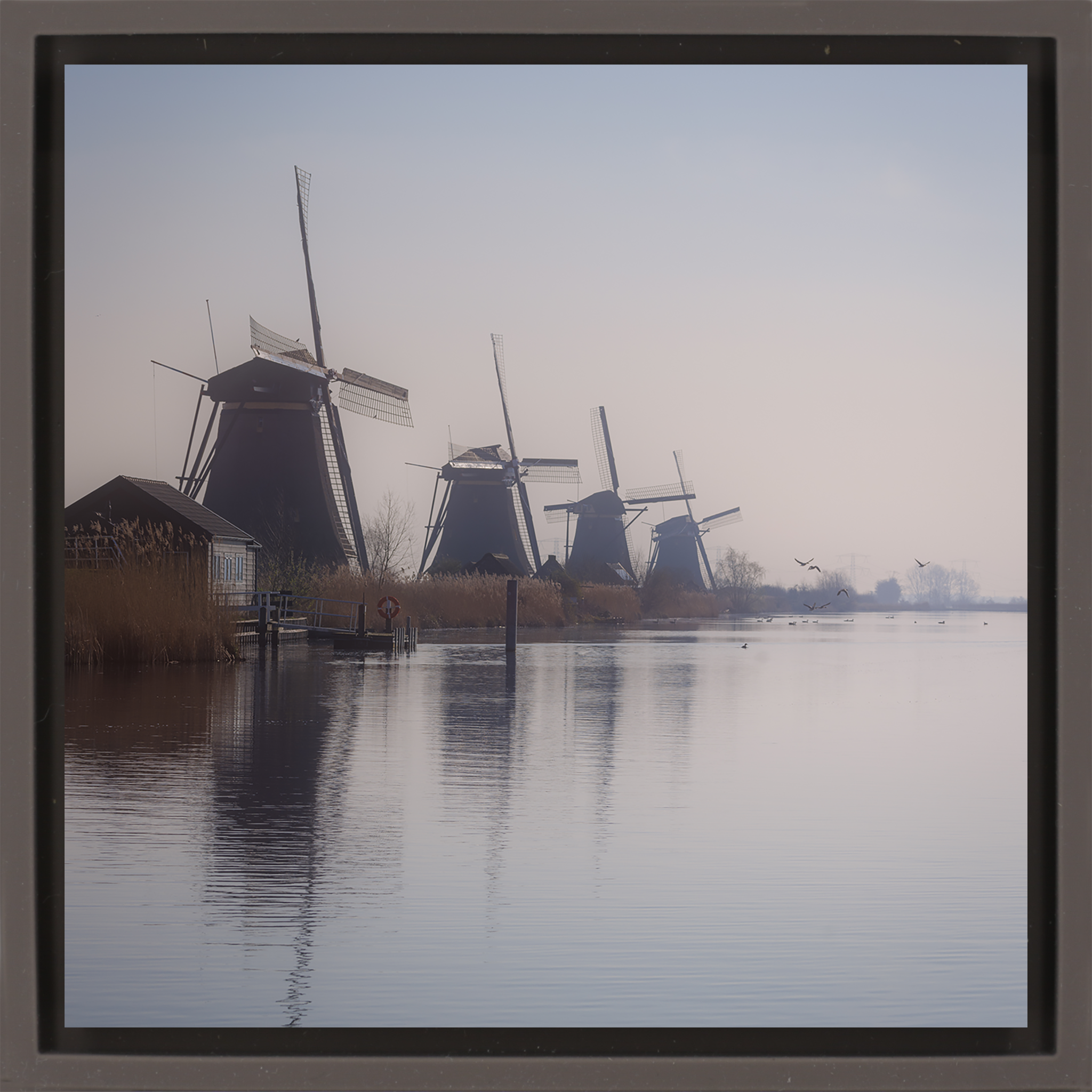 The Giants of Kinderdijk- Brown Wrapp